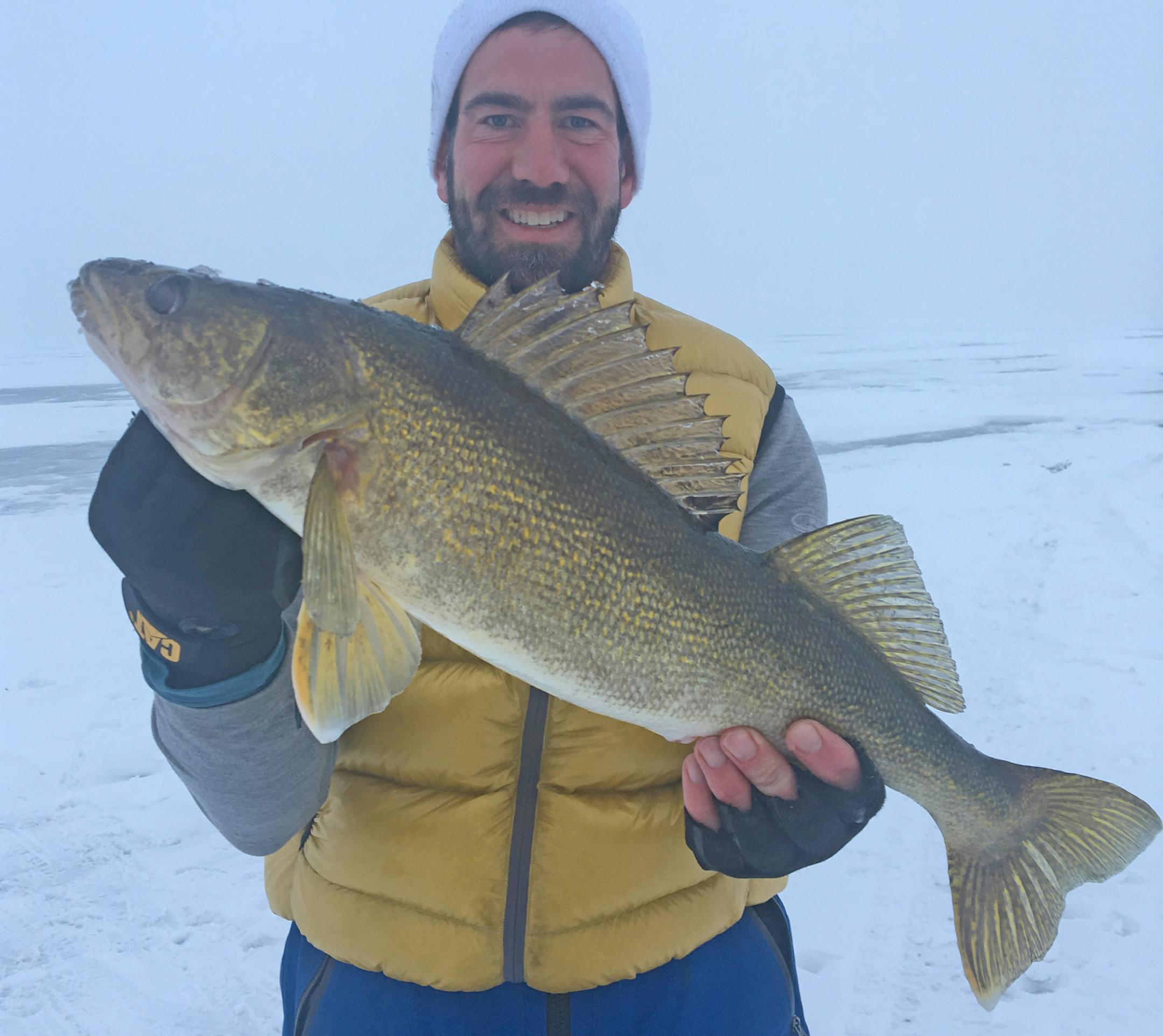 Mike Fortner was fishing with guide Tony Roach when he caught and released this walleye on Mille Lacs this winter.