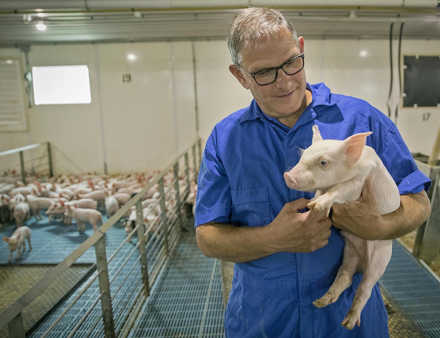 "Hog producers in general just want the whole tariff issue solved," said Greg Boerboom, who locked in prices on these piglets but worries about the market for future litters.