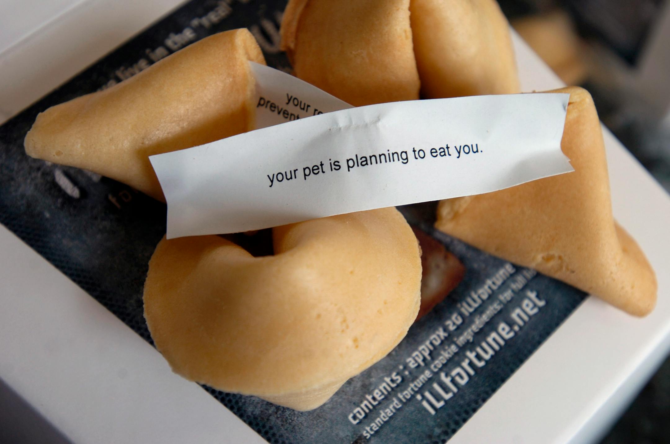 Some of the fortunes to be found in David Fenton's "Ill Fortune Cookies" in San Rafael, California, are displayed, February 14, 2012. "Ill Fortune" Cookies feature humorous, irreverent and offbeat messages that are not to be found in any Chinese restaurant. (Kristopher Skinner/Contra Costa Times/MCT)