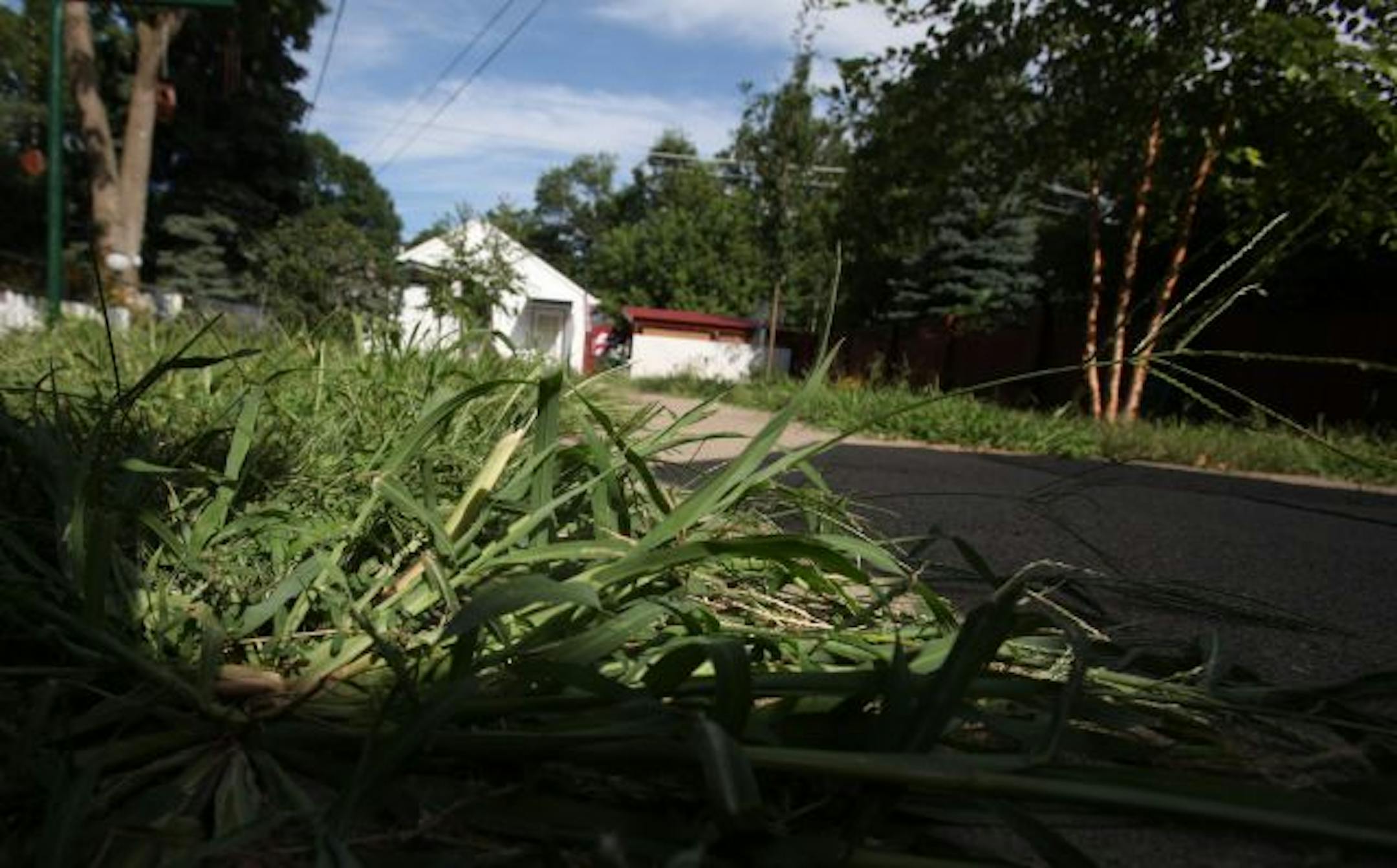 In Patrick Melartin and Jean Schirmer's backyard, which once was their little oasis, crab grass from the lawn his encroaching on the sidewalk. The couple thought they were going to get top soil when the EPA removed 18 inches of arsenic-contaminated dirt but instead got dirt with rocks in it and crap grass.