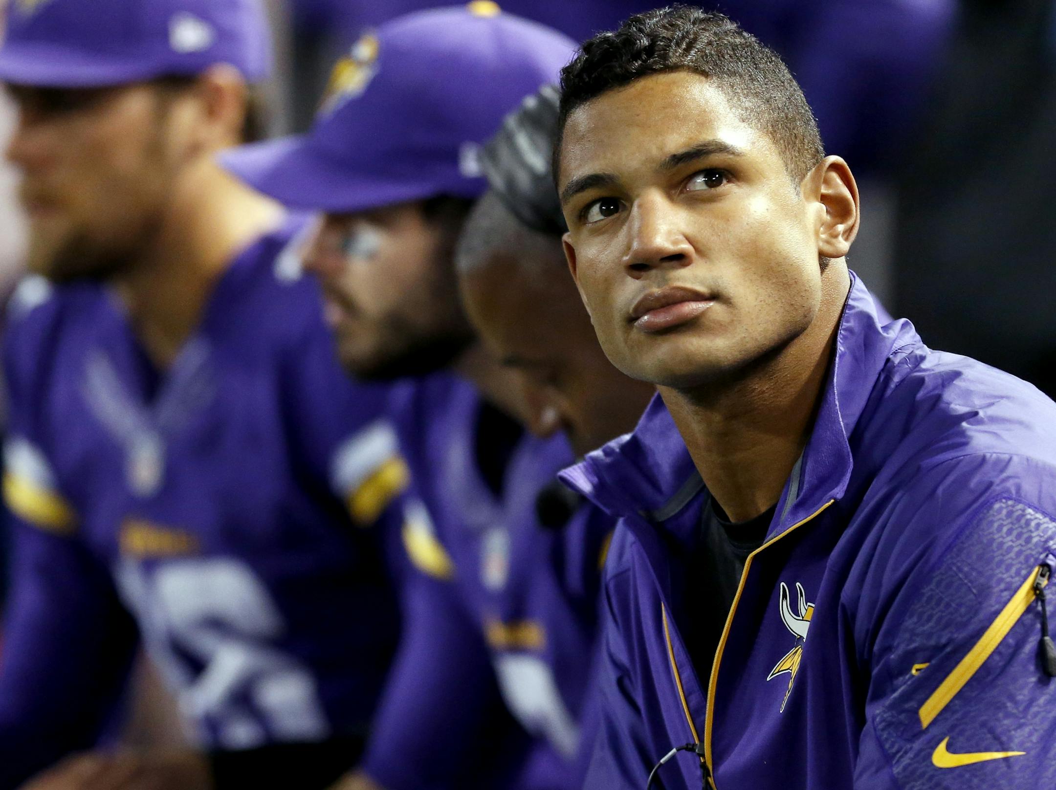 Minnesota Vikings quarterback Josh Freeman.