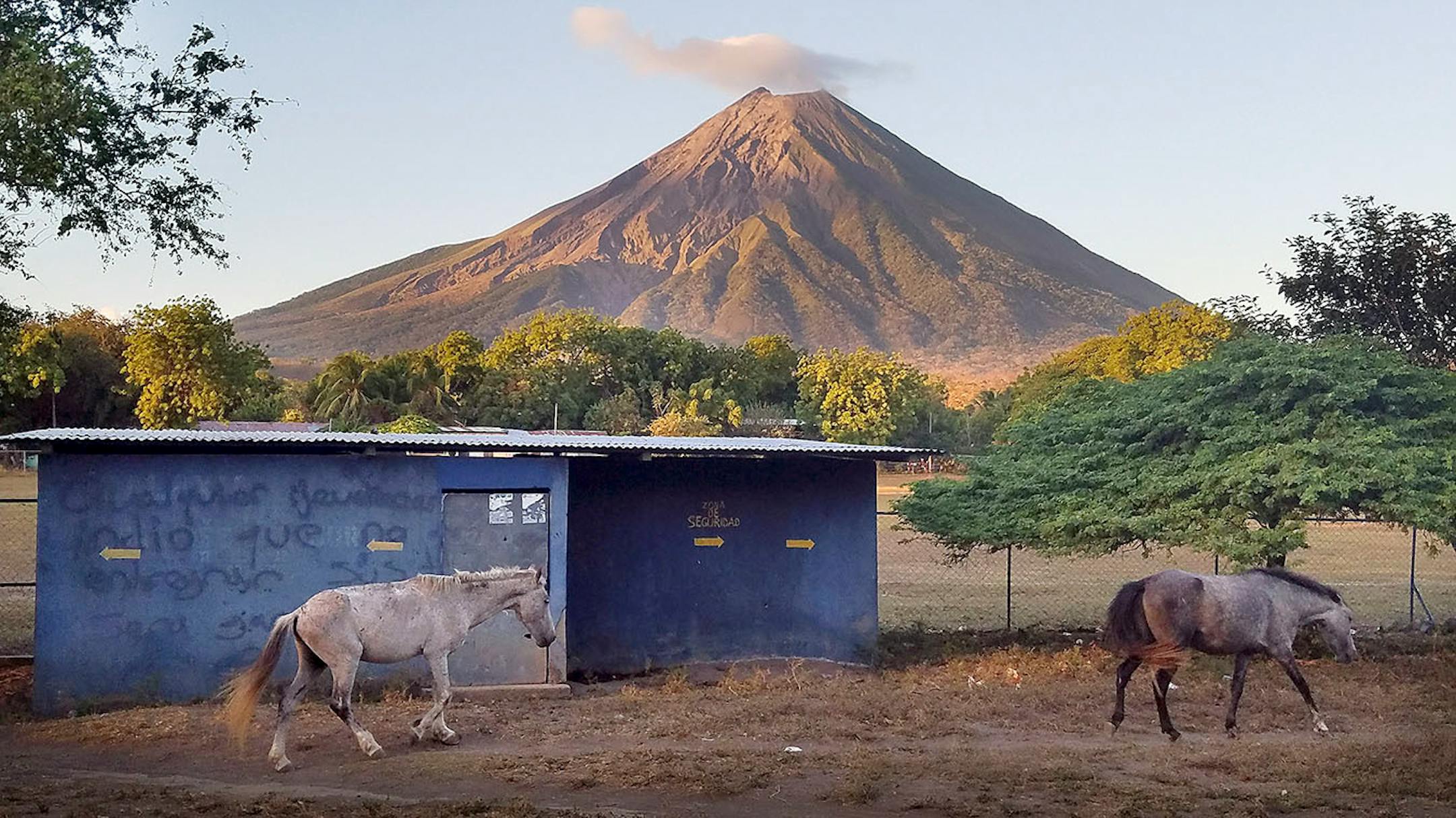 Horses run free in the shadow of the active volcano Concepcion, in the village of San Jose del Sur on the island of Ometepe, Nicaragua.