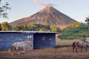 Horses run free in the shadow of the active volcano Concepcion, in the village of San Jose del Sur on the island of Ometepe, Nicaragua.