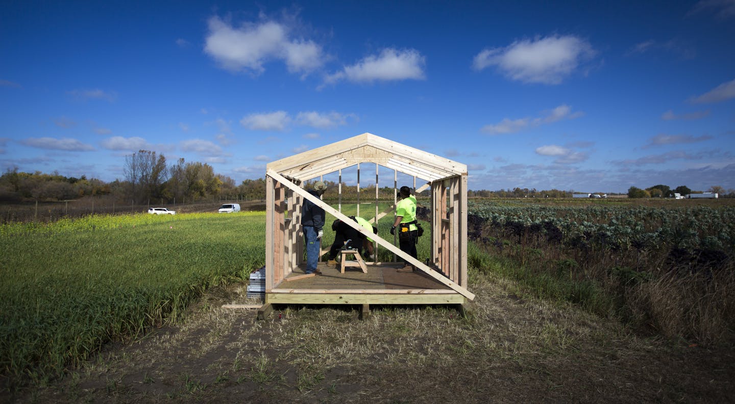 Leo Tomperi, an instructor for the carpenters union helps Bravors Moua, 18 and Kong Thao, 18 build a storage shed on the MAFA property in Dakota County. ] High school students from across Minnesota are building storage sheds for the Hmong American Farmers Association at its research and incubator farm in Dakota County. Brian.Peterson@startribune.com Hastings, MN - 10/04/2015