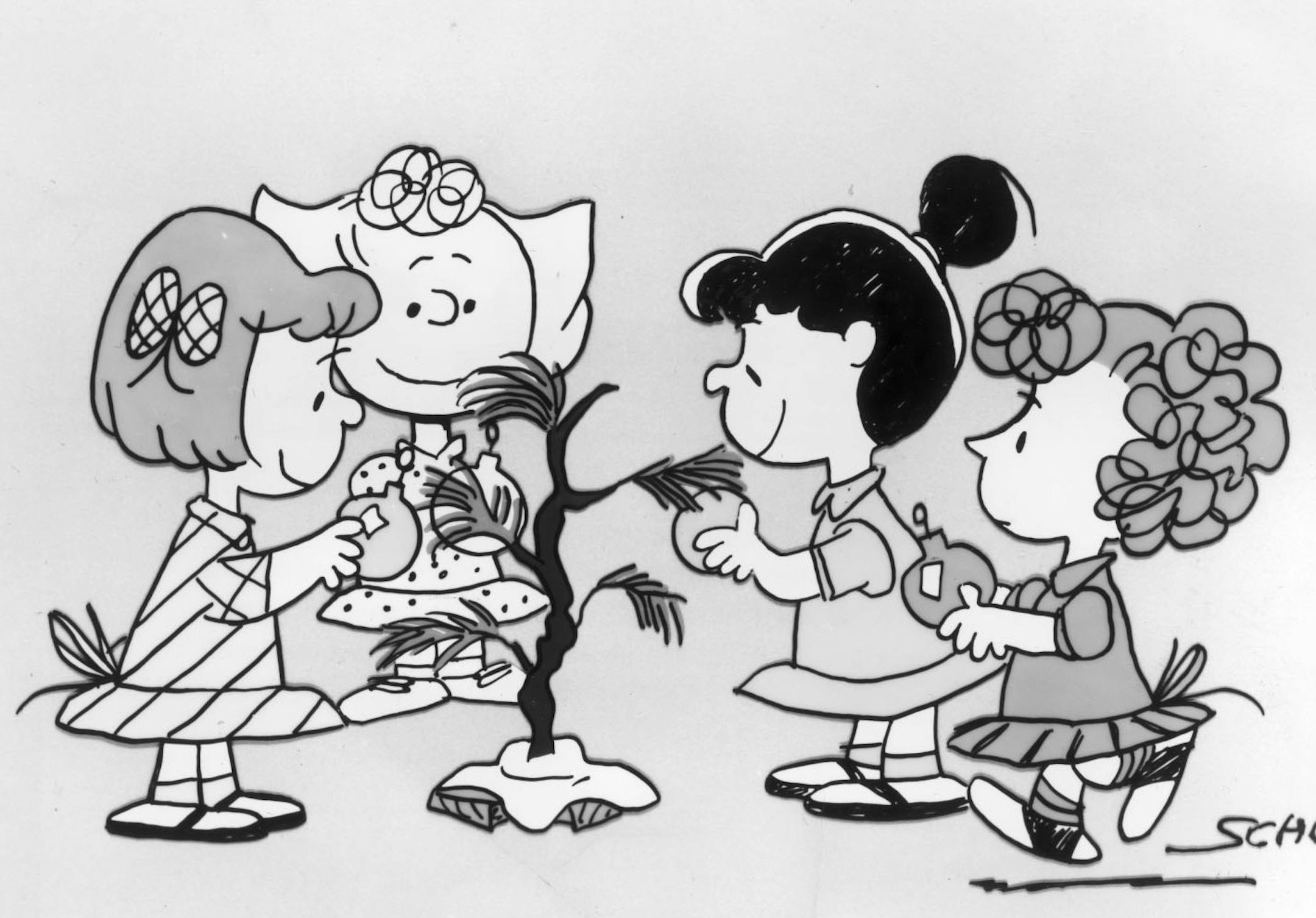 "A Charlie Brown Christmas" -- Transforming a little tree into a thing of beauty, by lots of love & attention, are Peanuts comic strip characters (left to right) Pigpen (spruced up), Peppermint Patty, Sally, Violet, and Frieda. Illustration by Charles Schulz, courtesy of the United Feature Syndicate and CBS Television.