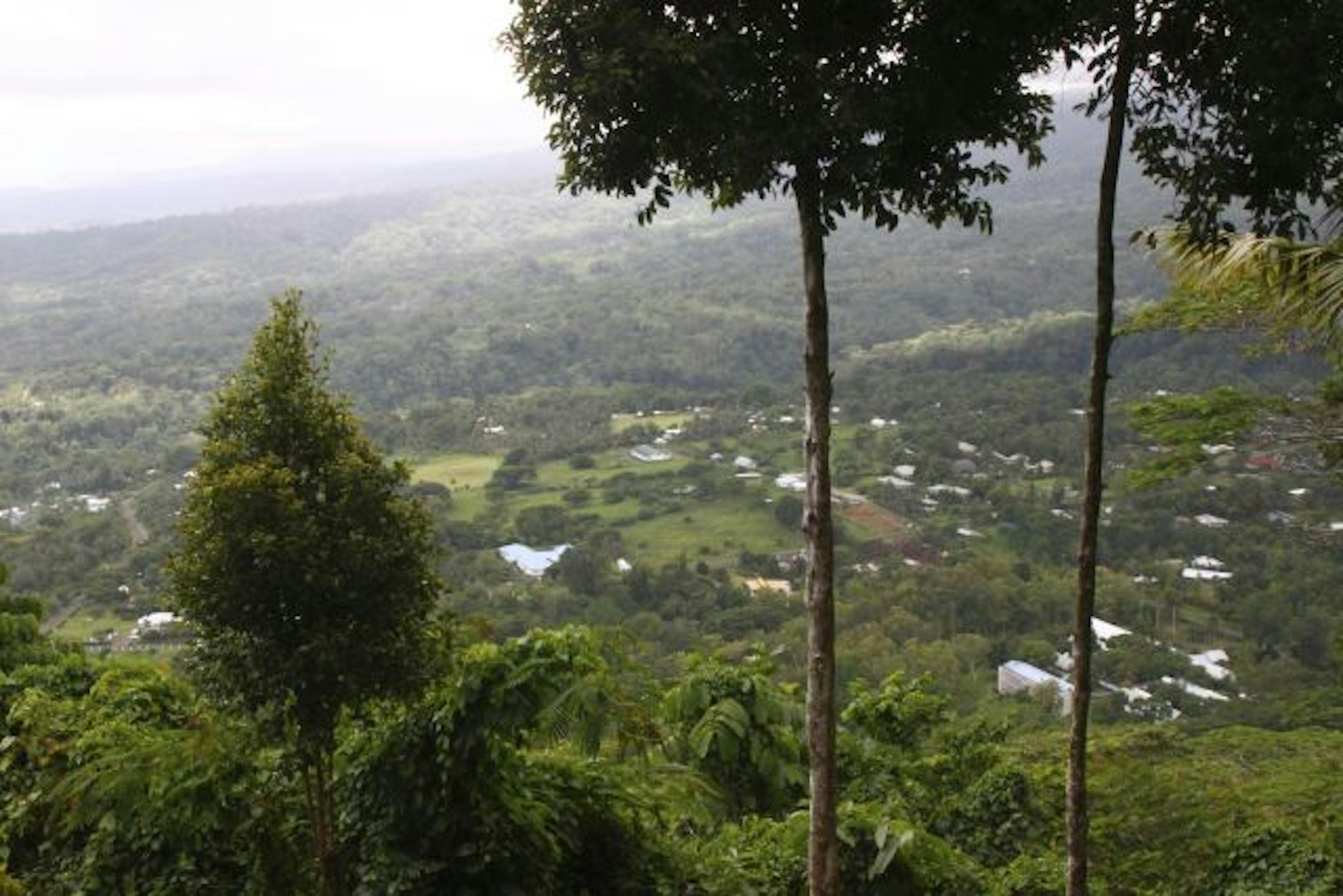The last home of writer Robert Louis Stevenson looks down on Apia, the capital of independent Samoa. Most tourists come to the Samoan islands in search of the picture-perfect South Seas paradise, and they will find it. Despite sizable populations now, the Samoas aren't overrun with tourists.
