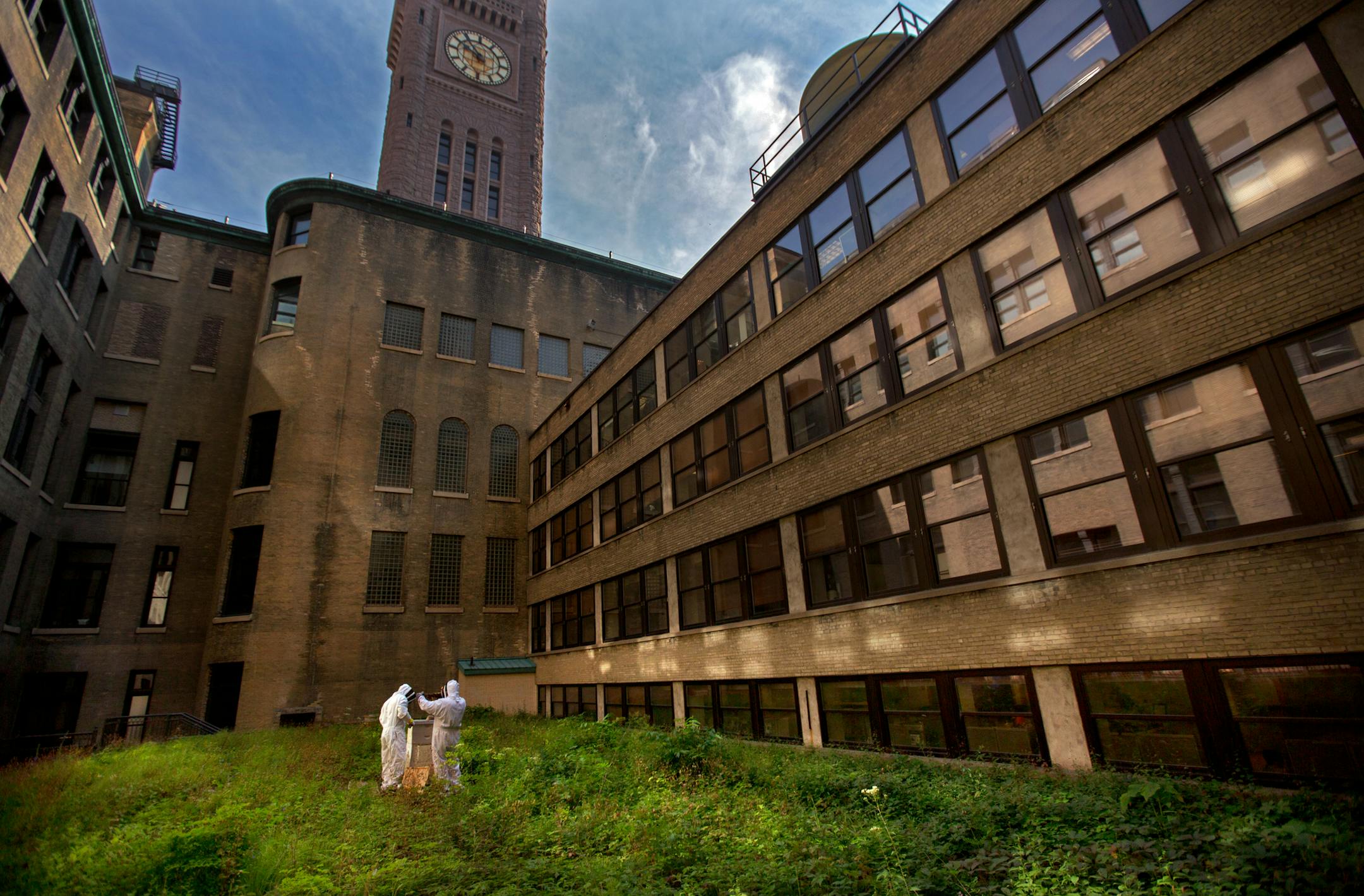 At the bottom of a Minneapolis City Hall courtyard, walled in by four stories of Ortonville granite, a lonely band of honeybees is trying to prove they can thrive in the city. The two hives, which stand on City's Hall's well-shaded "green" roof, are part of a volunteer urban bees project, now in its second year. Here, Dressed in protective bee suits, Beekeeper Jim Doten and Patrick Hanlon inspect the hives. ] BRIAN PETERSON ‚Ä¢ brian.peterson@startribune.com Minneapolis, MN 08/0
