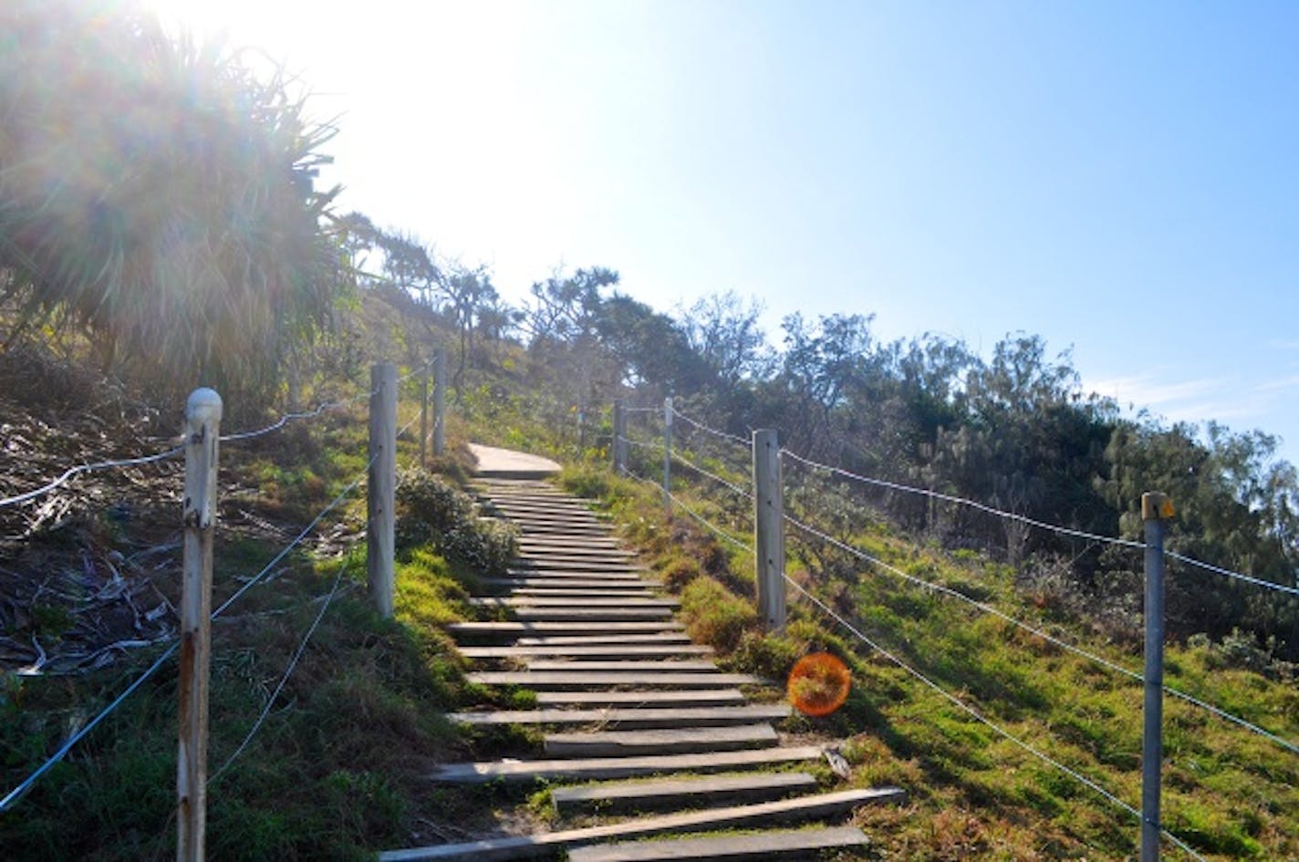 The beginning of the hike through Noosa National Park