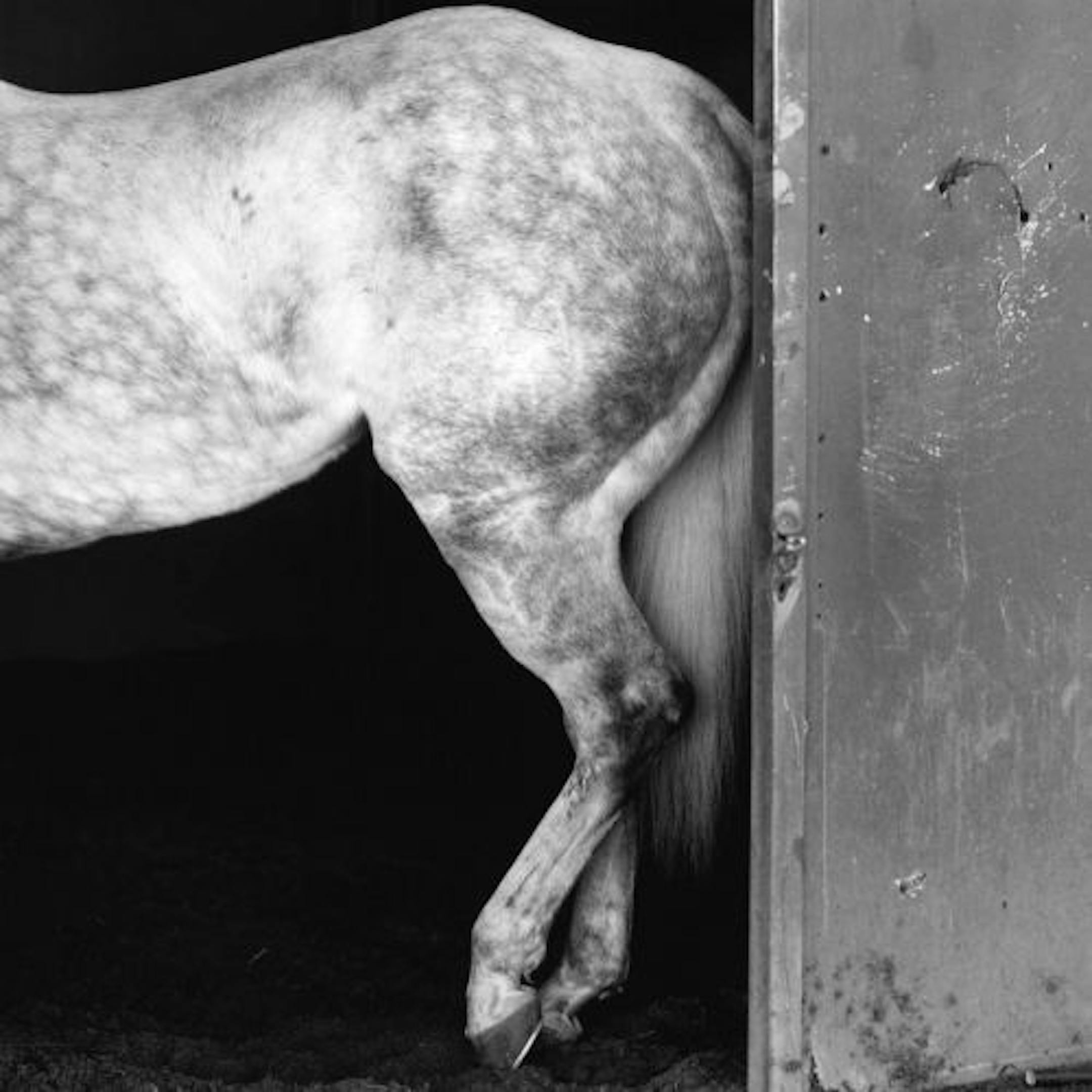 "Resting," by Ellen Rennard