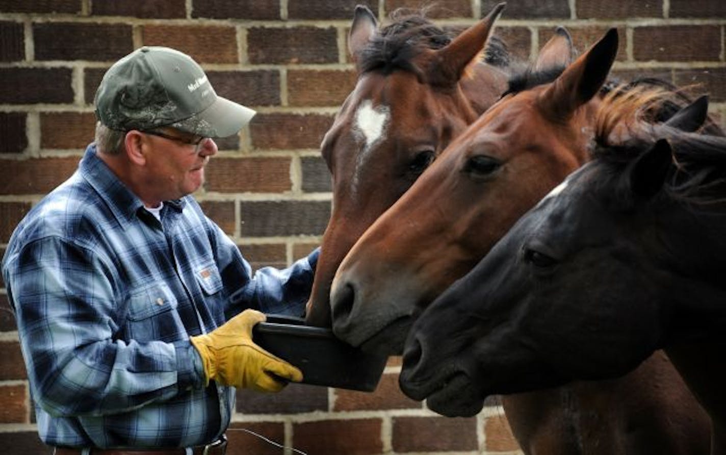 St Joseph, Mn Thursday 9/9/10 Profiling John Sanner, the Stearns County sheriff and the point man on the investigation into the disappearance of 11-year-old Jacob Wetterling almost 21 years ago. Every day, John Sanner takes care of his 4 horse on his farm in rural St Joseph, MN.