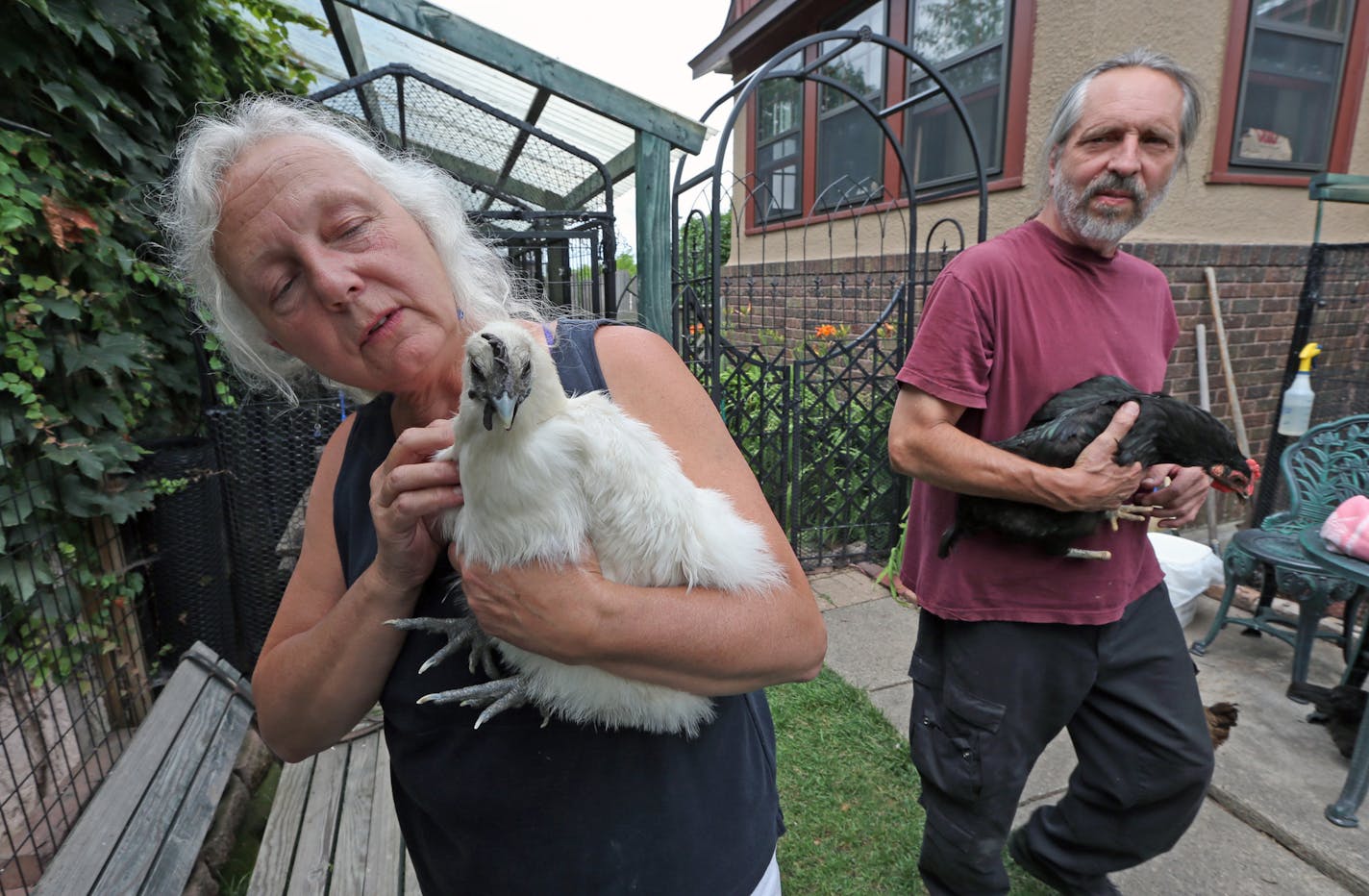 (left to right) Mary Britton Clouse and Burt Clouse of Chicken Run Rescue, held some of the 20 chickens they keep at their North Minneapolis home. Photographed on 7/25/13. As urban agriculture heated up, more city-dwelling hipsters and locavores started keeping chickens to produce their own eggs. But now, finding it too much work, those disillusioned trendsters are shedding their birds in great numbers, which is putting a strain on longtime chicken rescuers like Mary Britton Clouse.] Bruce Bispi