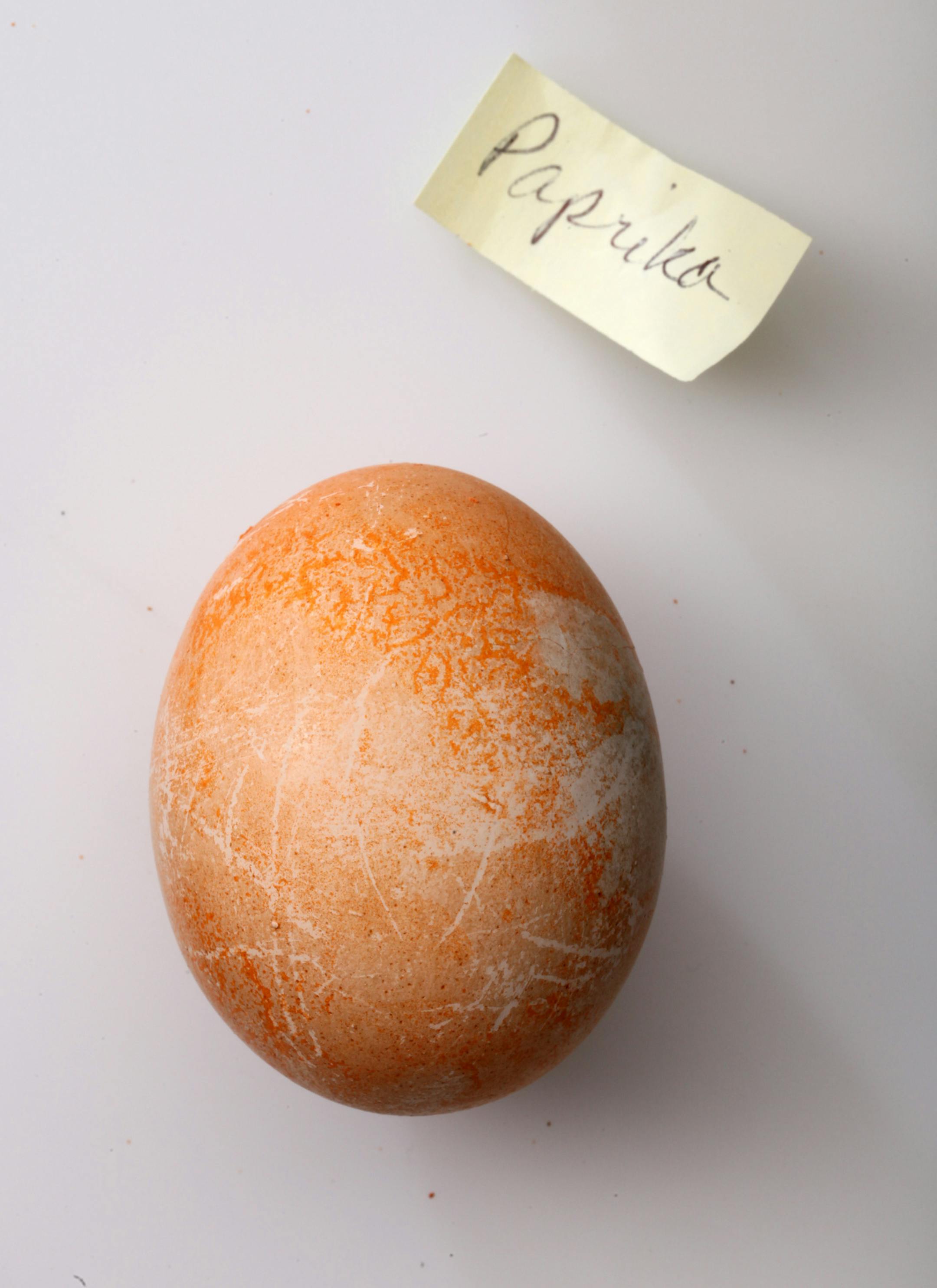 TOM WALLACE • twallace@startribune.com Assign#20011698A Slug: egg0401 Date: March 23, 2010 Easter illustration for taste. In this photo: Easter eggs take on natures palette. Dying eggs with beets, blueberries, tea and many others elements.