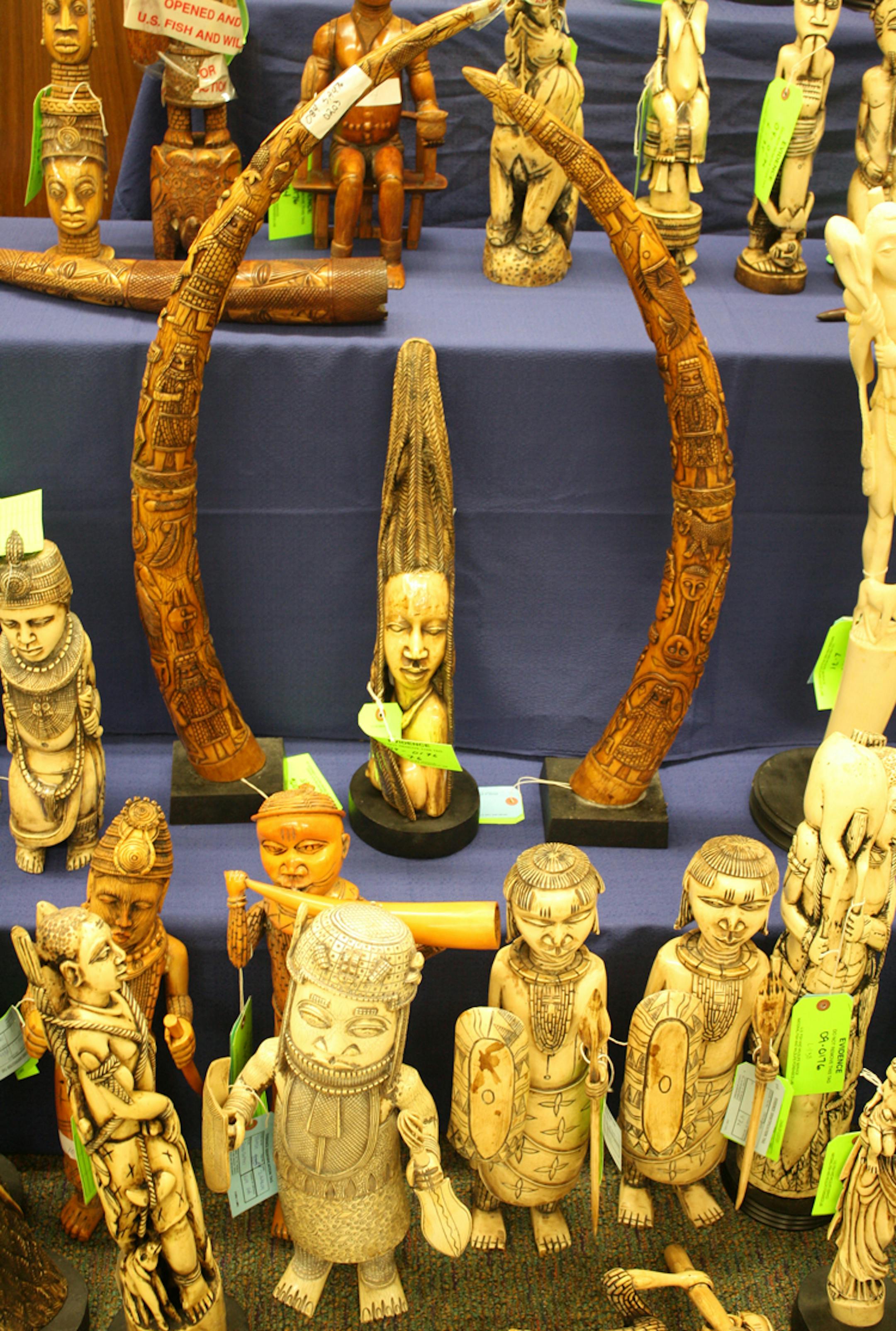 These carved ivory figures were seized by U.S. wildlife inspectors in 2011 as part of its enforcement against illegal trade in endangered wildlife.