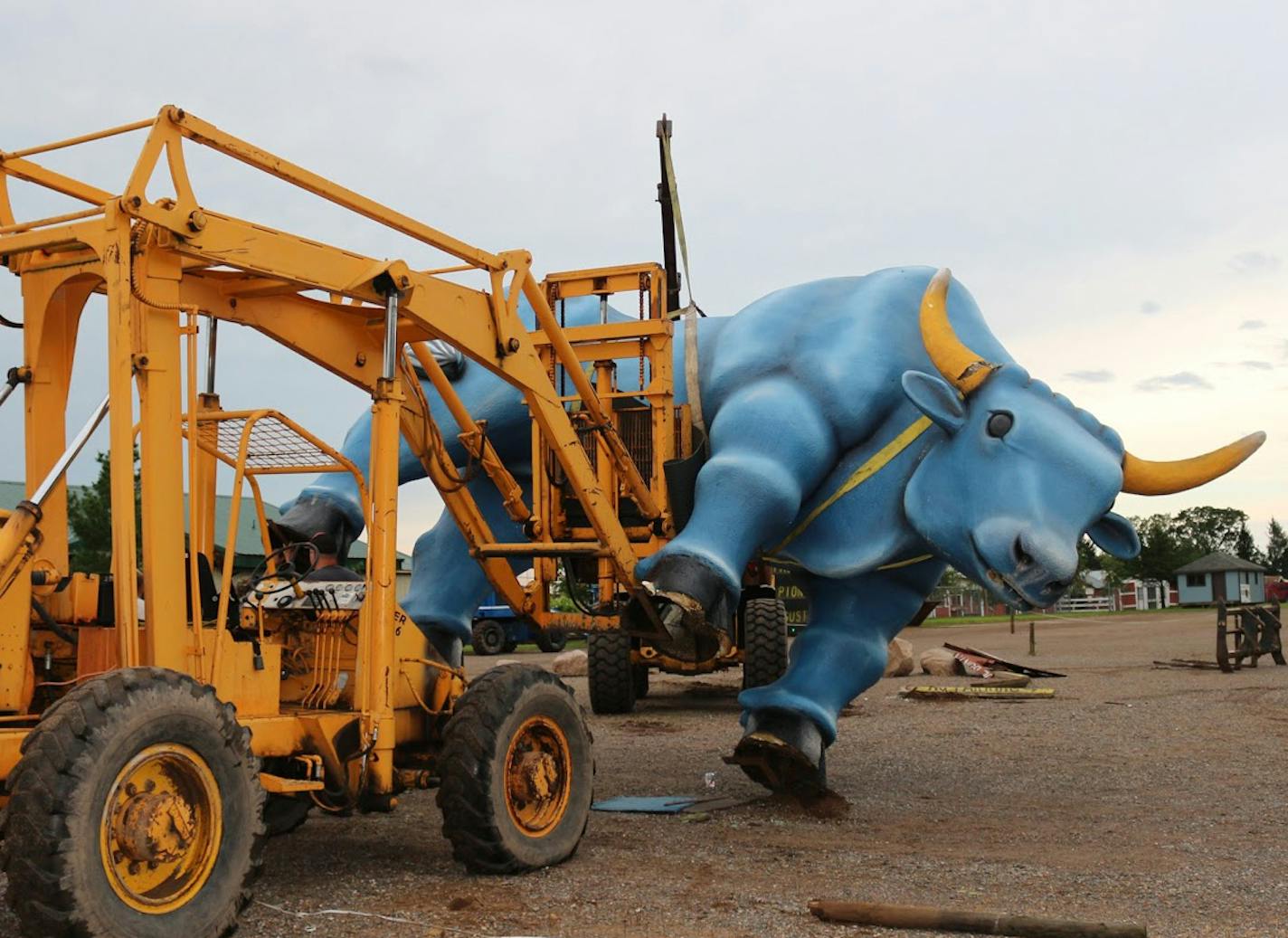 Everything's bigger in Paul Bunyan country, including the storm that swept one 6,000-pound blue ox off his feet Thursday morning. Up north in Brainerd, one mighty gust of wind slammed into the 60-year-old Babe the Blue Ox statue and that stands watch over Paul Bunyan Land and sent it tumbling across the parking lot. Babe sustained some bumps and bruises -- one horn was damaged -- but by noon, he was back on his feet. "Babe is going to be just fine," said Lois Moon, co-owner of the Brainerd amuse