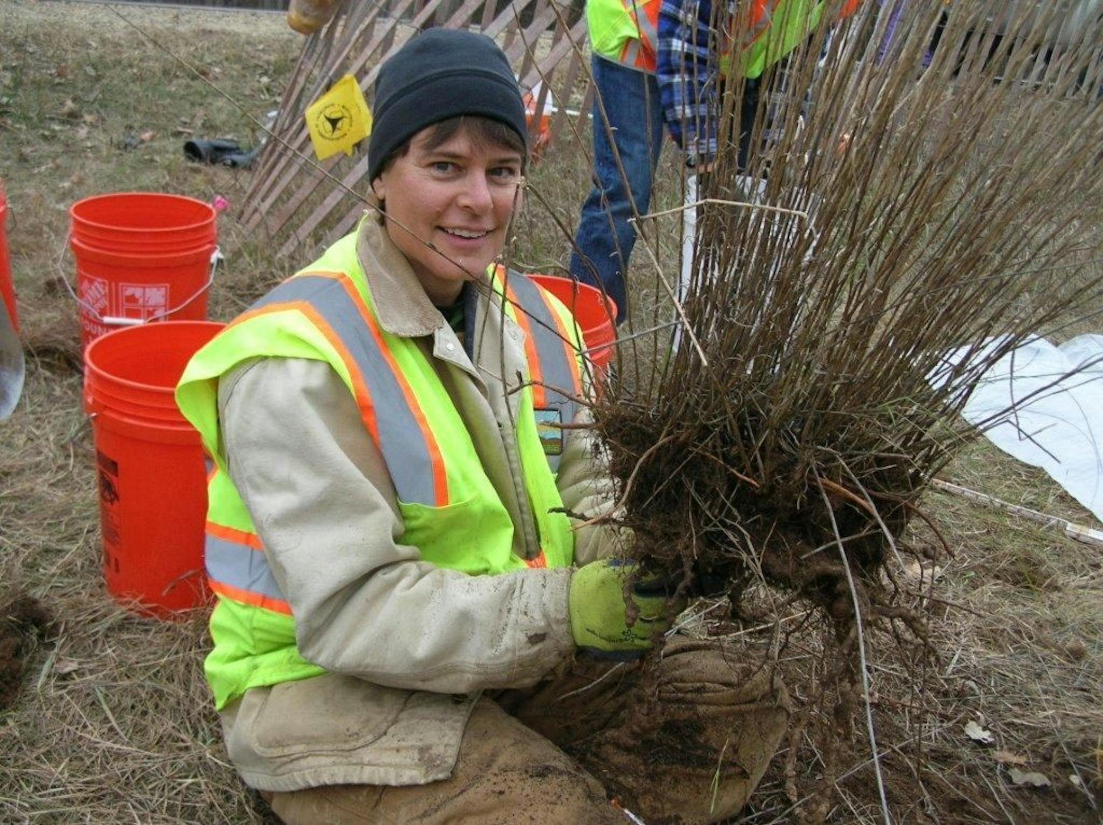 Missy Sparrow, a wildlife biologist for the Wisconsin Department of Natural Resources, holds a Dotted Blazing Star that was dug up near the bridge site in October