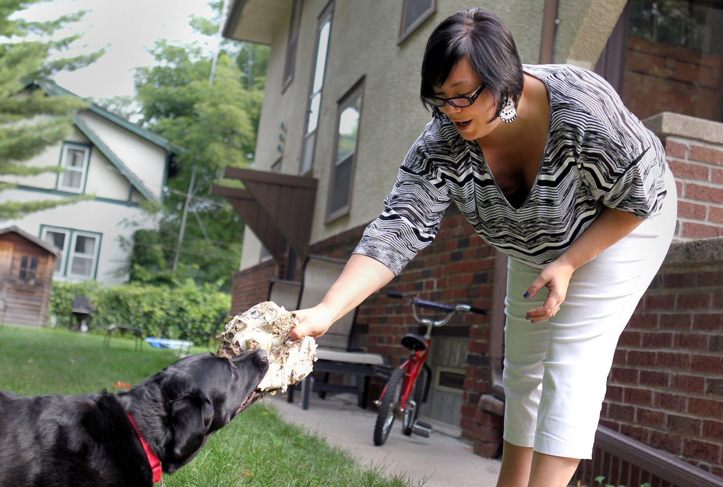 Sarah Breidenbach plays a game of fetch with her service dog, Moxie, who helps her control and keep track of her diabetes at her home in St. Paul, Minn., on Monday, August 19, 2013. ] (ANNA REED/STAR TRIBUNE) anna.reed@startribune.com (cq)