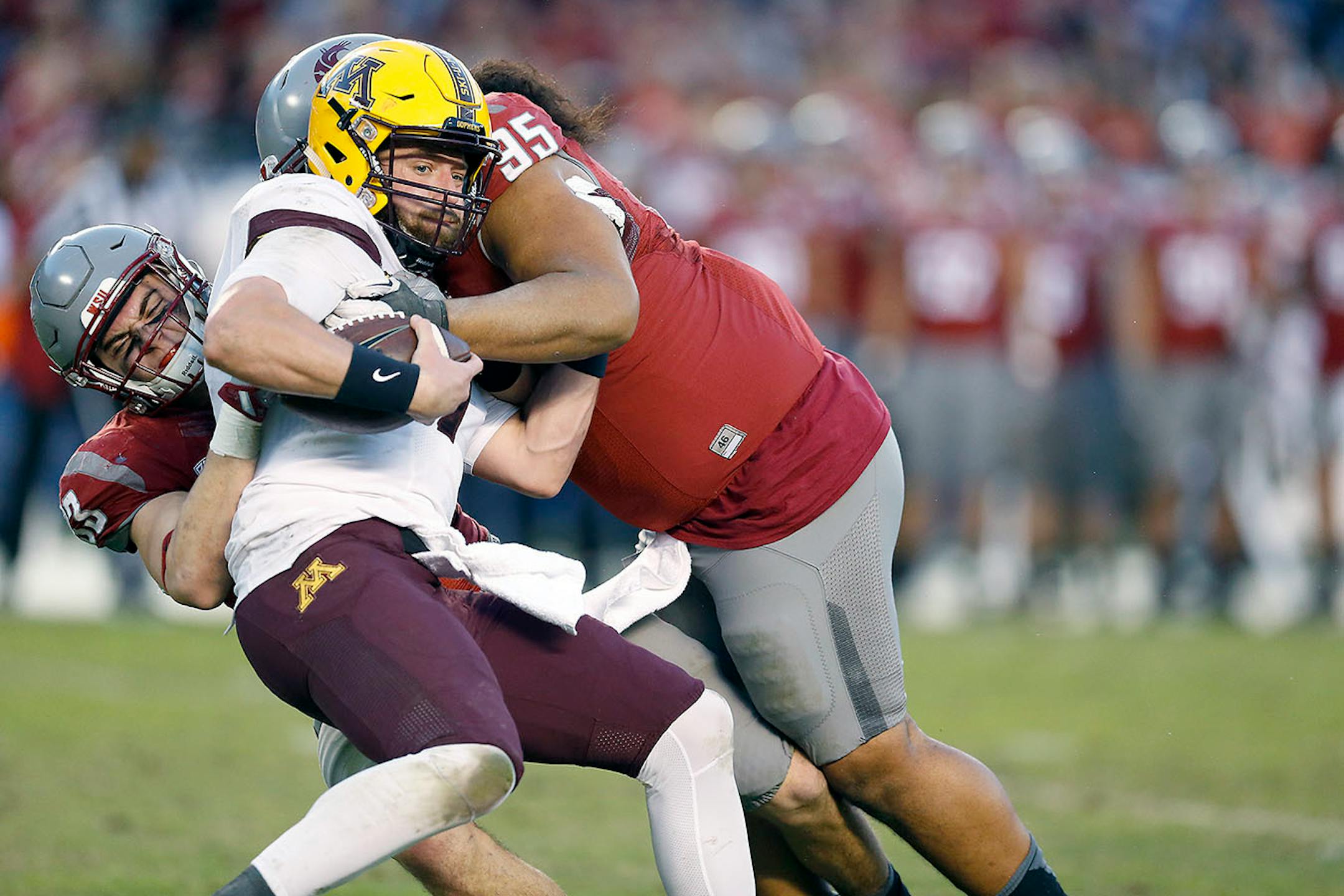 Minnesota's quarterback Mitch Leidner is sacked during the second quarter as they took on Washington State at Qualcomm Stadium for the San Diego Holiday Bowl, Tuesday, December 27, 2016 in San Diego, CA.