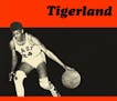 Tigerland, by Wil Haygood