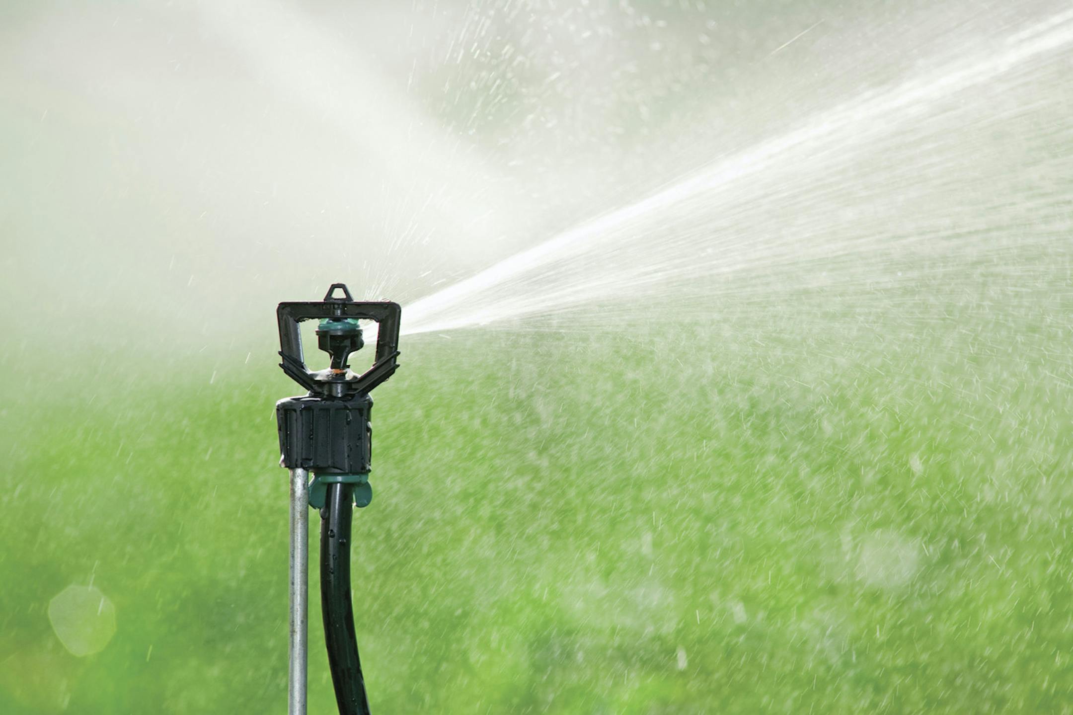 SH12H093GARDENER Aug. 13, 2012 -- Watering less, mowing less, and fertilizing less not only conserves resources and time, it's also a lot less stressful on lawns suffering in drought conditions. (SHNS photo courtesy John Deere) ORG XMIT: MIN2012100413180242