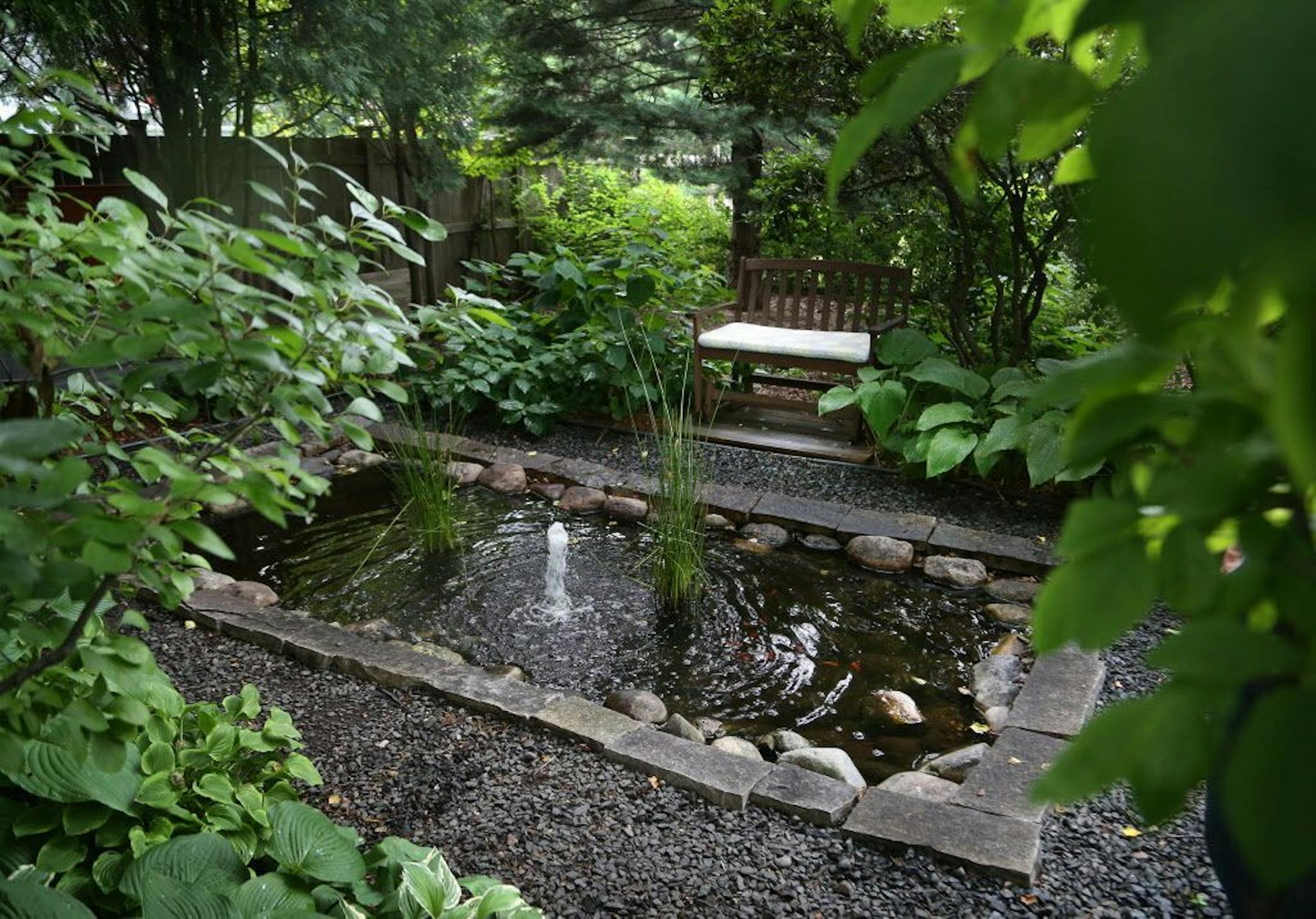 A fish pond in the garden.