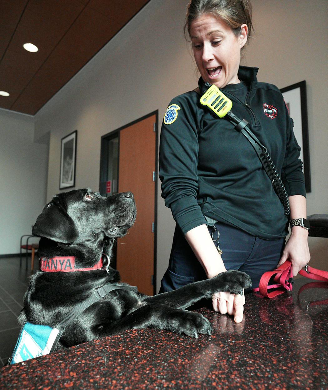 Tanya, a black-lab service dog, locked eyes with Capt. Kate Heckaman at St. Paul Fire Station 1.