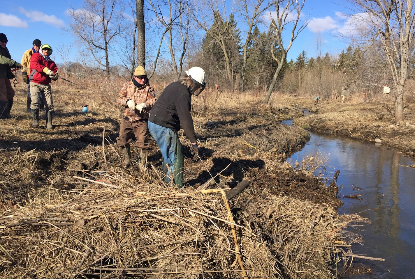 Minnesota and Wisconsin members of the Kiap-TU-Wish Chapter of Trout Unlimited gathered last Saturday along Parker Creek between Roberts and River Falls, Wis.