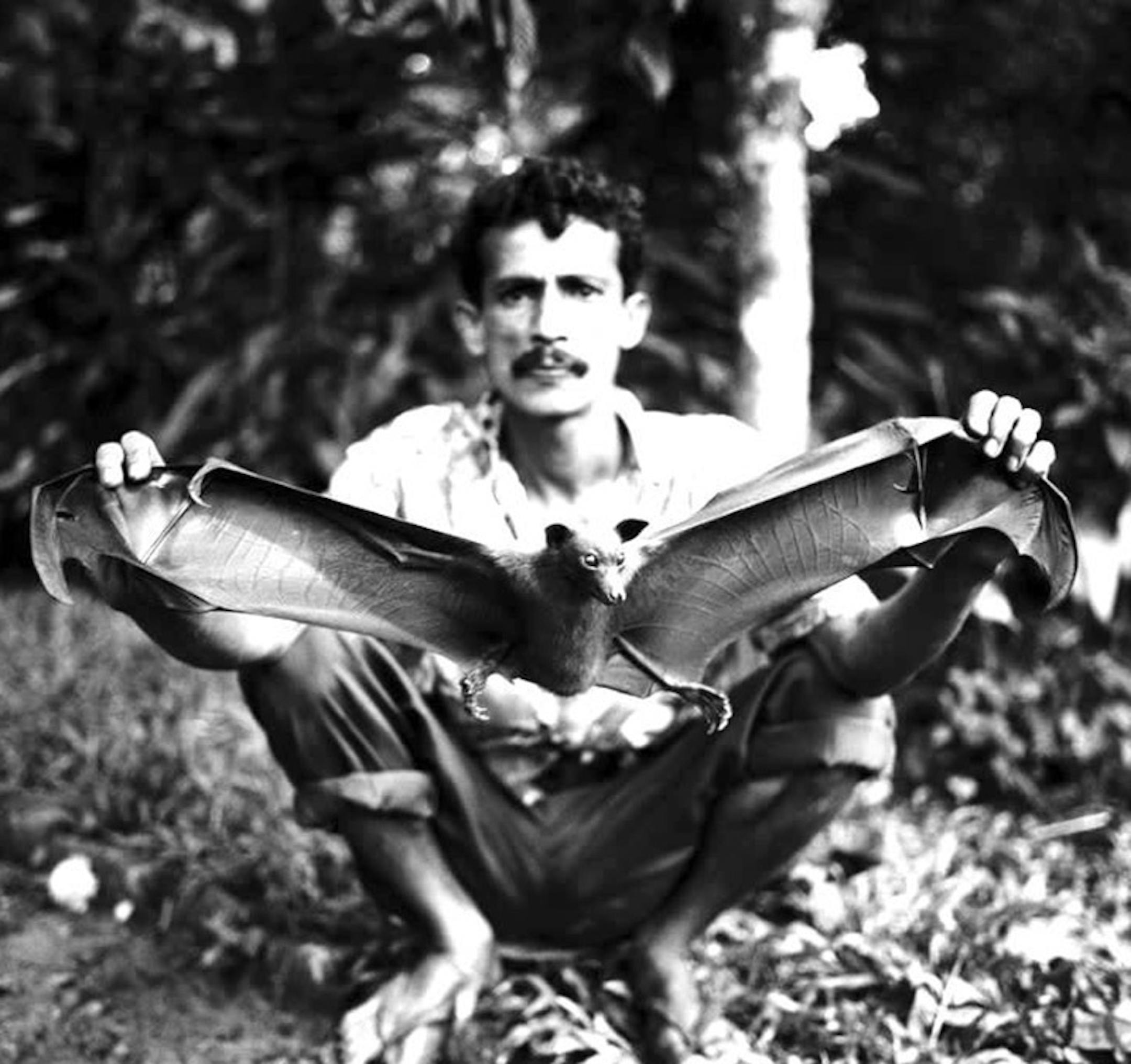 Norberto Lobo, "Fornalha" album cover