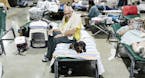 Peter Parkes sits on a cot with his dog, Obama, at an American Red Cross hurricane shelter at the Miami-Dade Fairgrounds in Miami, Sept. 13, 2017. Wit