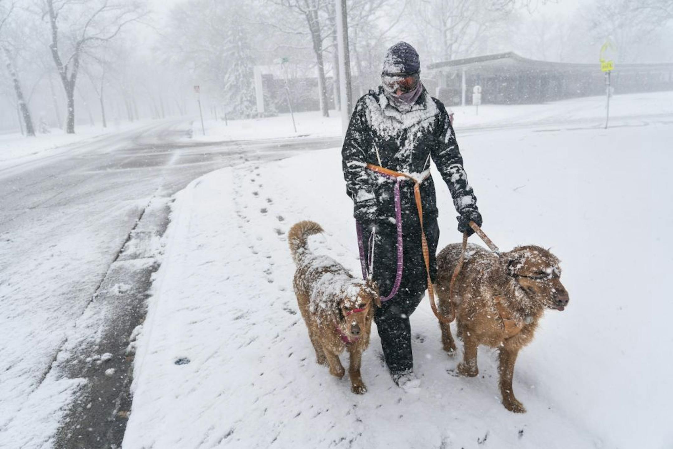 Leah R. (She did not want to give her last name) walked her dogs Kara and Coda in the snow Minneapolis, Minn., on Wednesday, April 10, 2019.