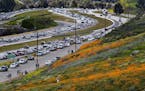 The super bloom creates a super traffic jam along the 15 Freeway as wildflower enthusiasts wait to exit toward Walker Canyon to get a close up of the 