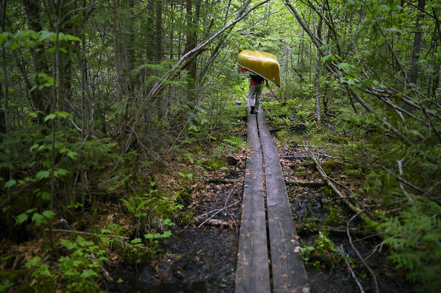 Brad Shannon moved down Long Portage on boards covering a wet, muddy stretch.