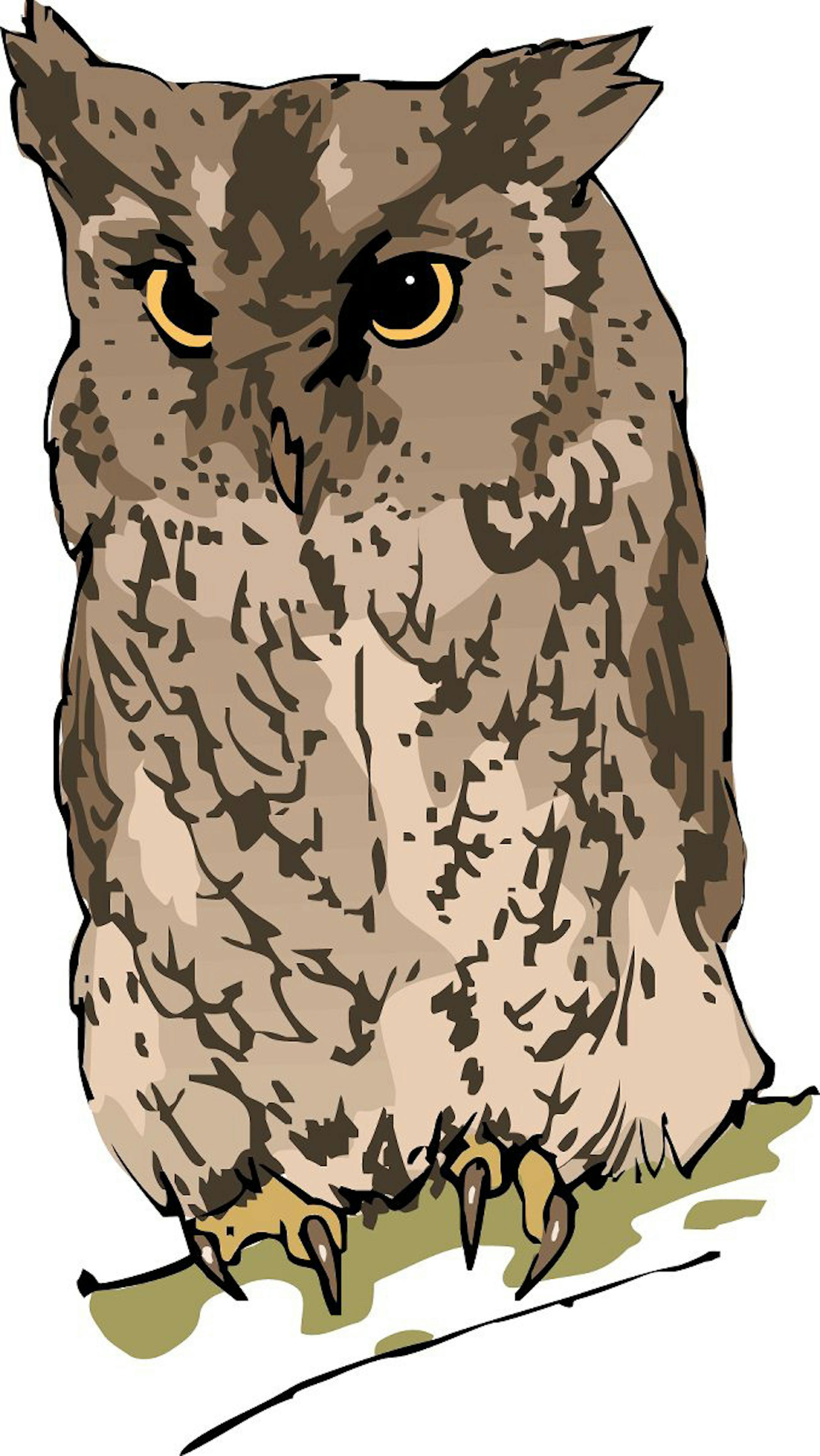 160 dpi 25p x 45p Paul Schmid color illustration of a screech owl. Seattle Times 1997 CATEGORY: ILLUSTRATIONSUBJECT: Screech owl illusARTIST: Paul SchmidORIGIN: Seattle TimesTYPE: EPS JPEGSIZE: As neededENTERED: 6/3/97STORY SLUG: Stand-aloneFOR AT-RISK READERS illustration, feature, features, environment, nature, animal, bird, owl, screech, SE, schmid, 1997