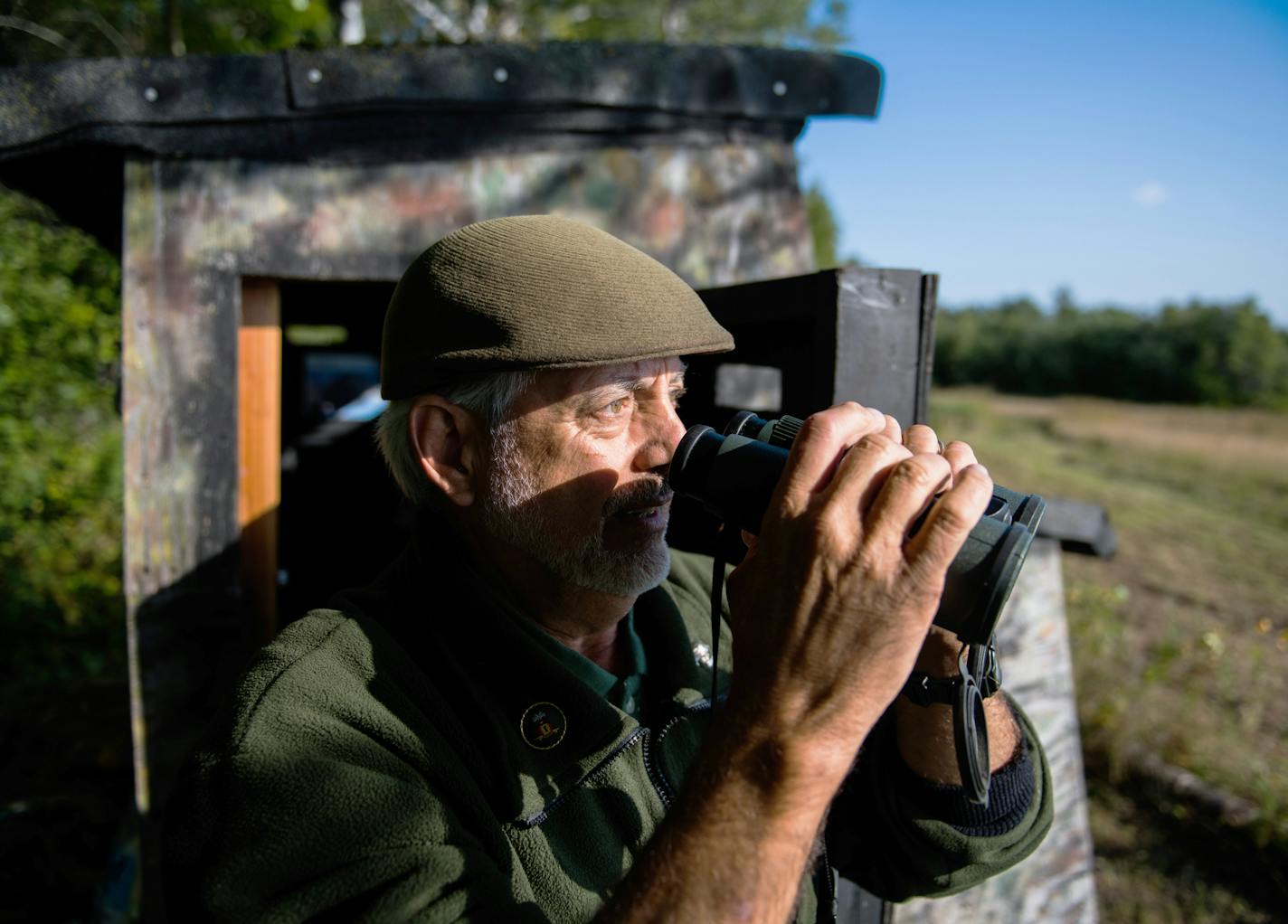 Frank Taylor watches for birds. ] MARK VANCLEAVE &#xef; mark.vancleave@startribune.com * Frank Taylor and his wife Trudi have been catching, banding and releasing hawks from the same field near Knife River for 48 years. Photographed Sunday, Sept. 10, 2017.