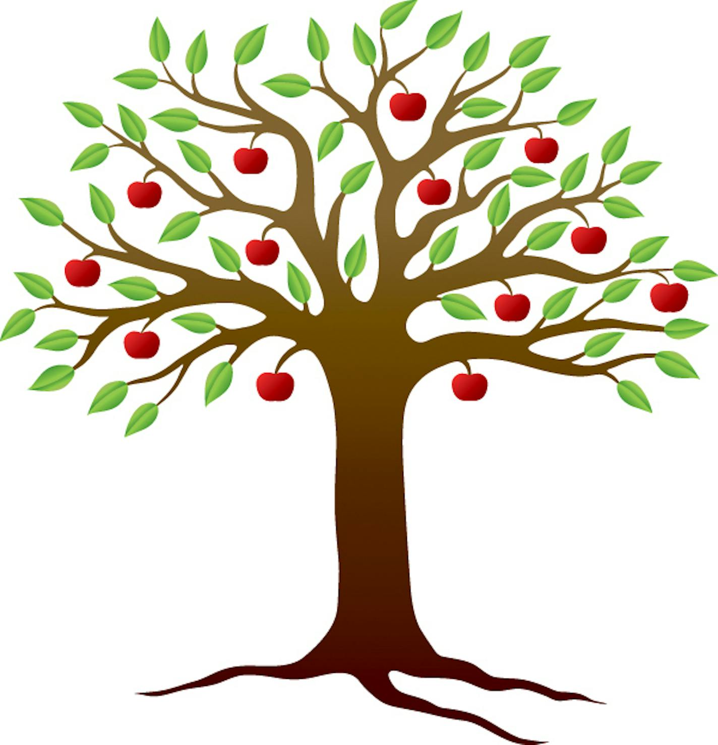 Apple tree illustration