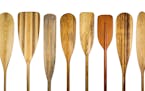 a row of 10 wooden canoe paddles, a variety of styles and shapes - paddling concept