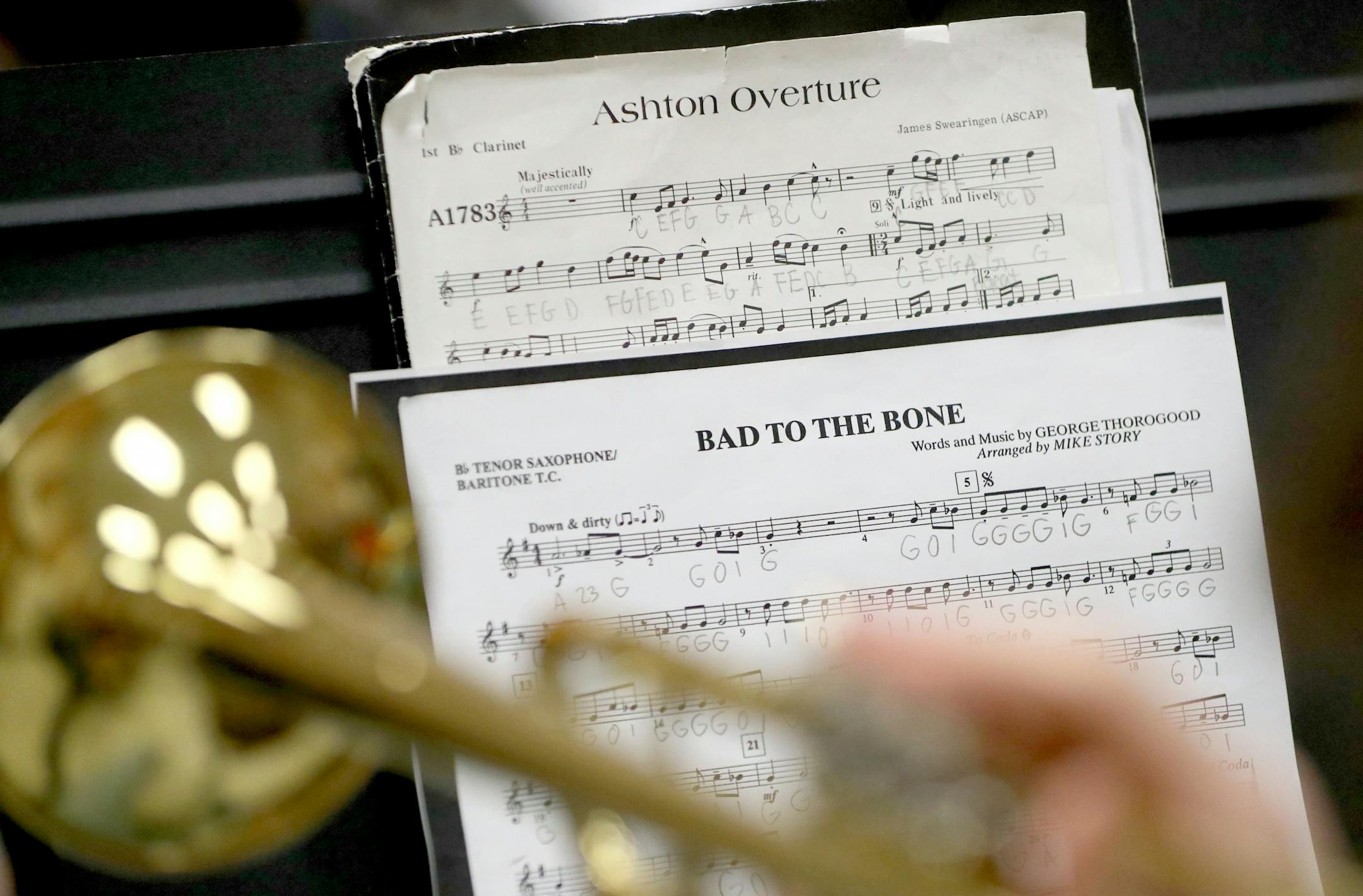 A Cleveland Public School band member uses sheet music during practice, where almost 90 percent of the school's students play in band, Tuesday, Feb. 21, 20117, in Cleveland, MN.