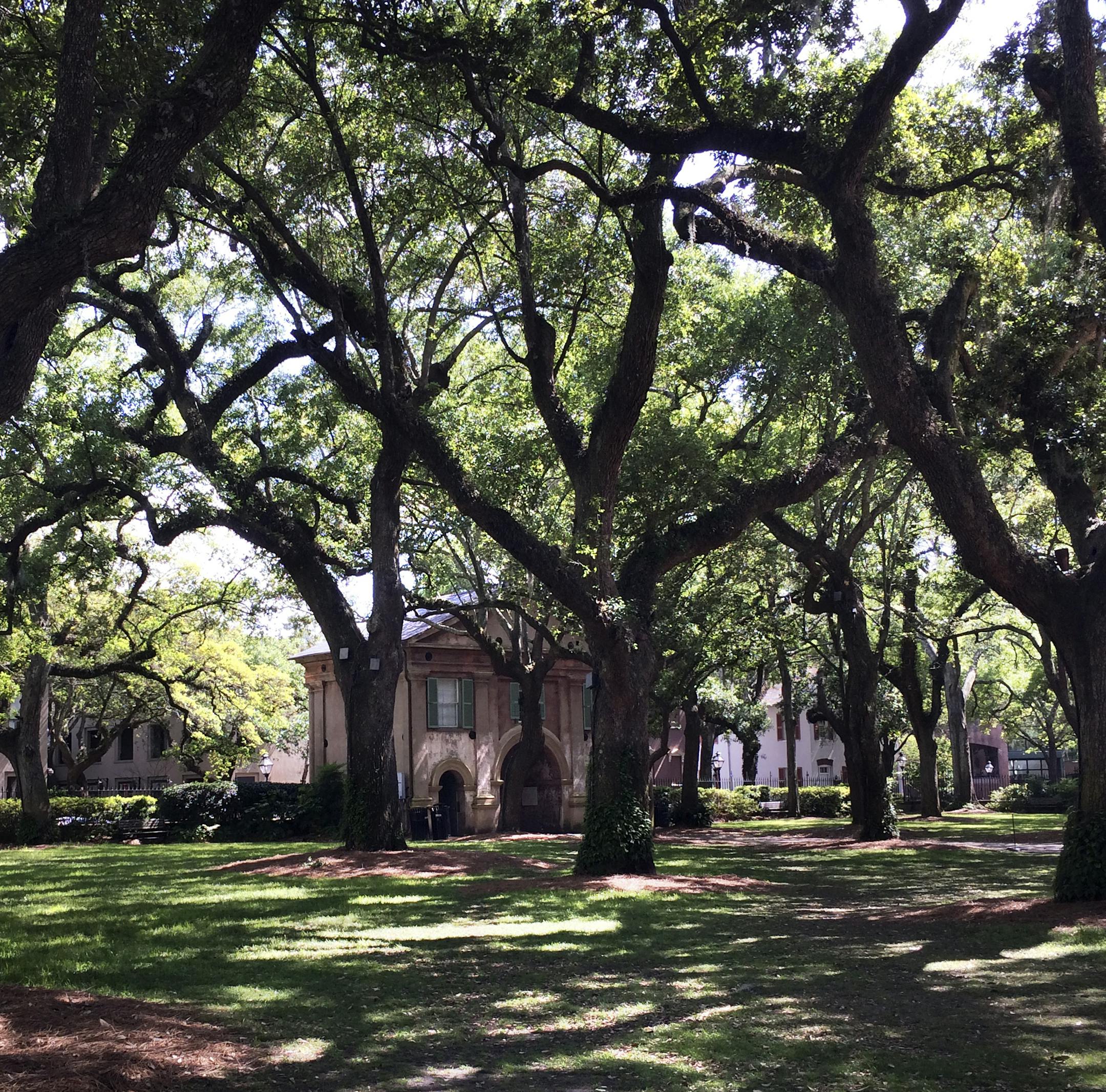 A trip to Charleston, S.C., uncovers rich culture and history.