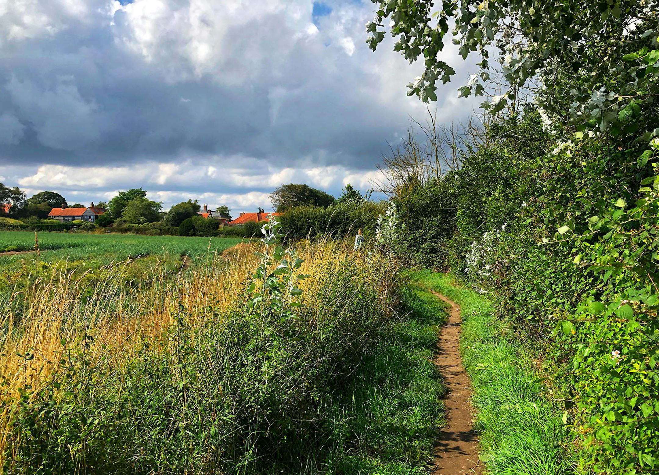 A trip to Walsberswick, England, leads to simple pleasures, such as a walk on a dirt path. By James Lileks, Star Tribune