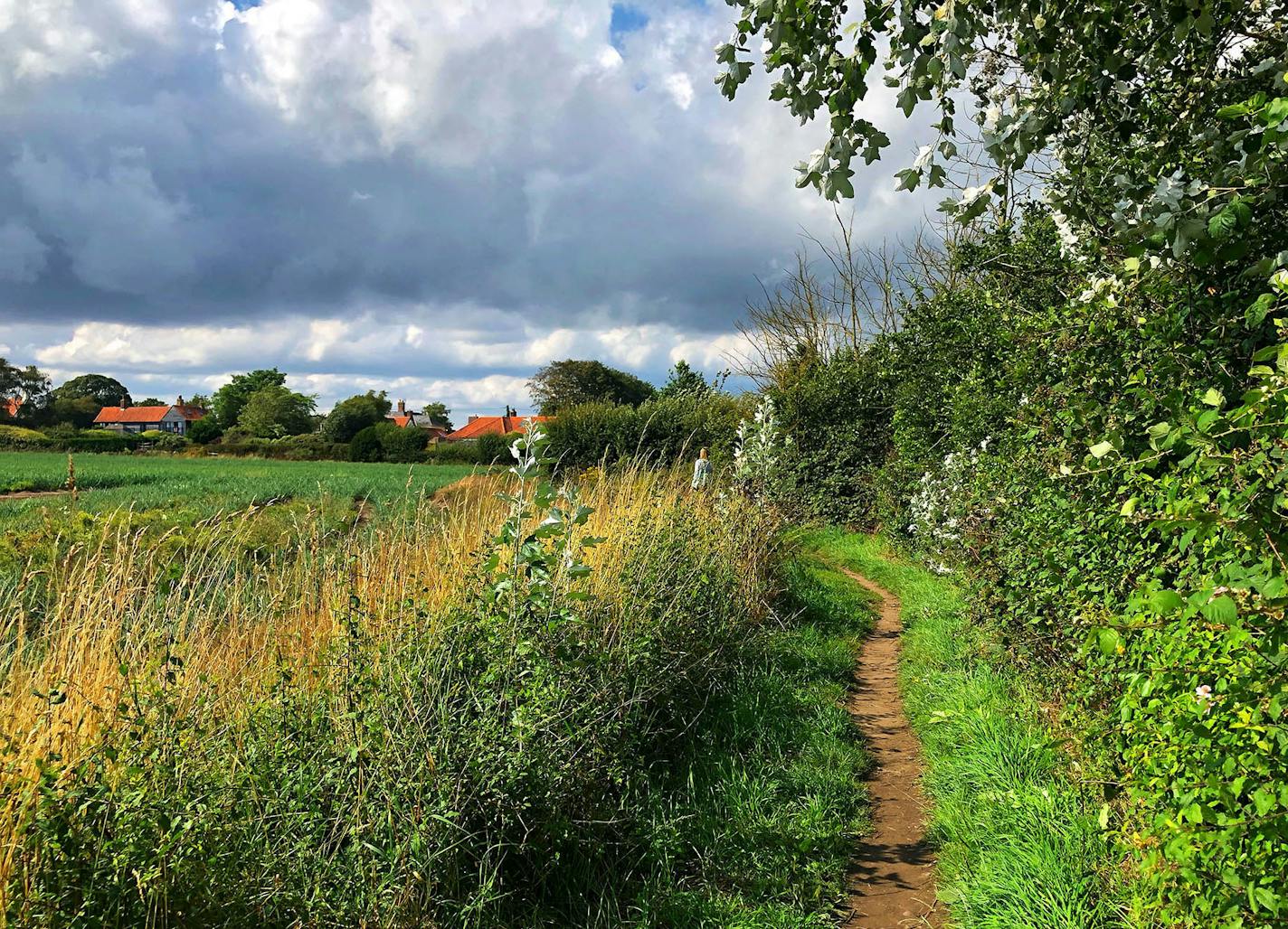 A trip to Walsberswick, England, leads to simple pleasures, such as a walk on a dirt path. By James Lileks, Star Tribune