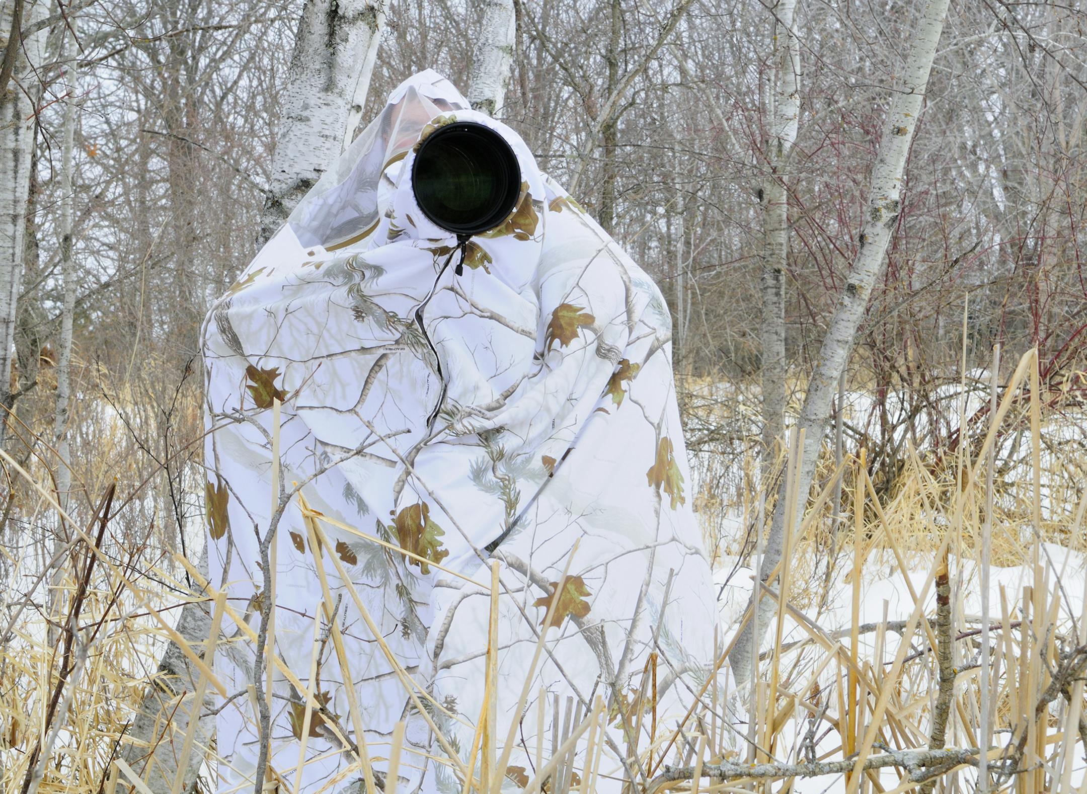 Marchel is inside a called LensHide. The versatile blind can be used while in a sitting position, or in this case, a standing position. This allows him to photograph over the cattails in the foreground.