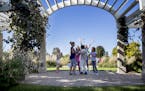 A group of school children on a field trip played that they were having a wedding in the pergola in the Longfellow Gardens on the land bridge over Hia
