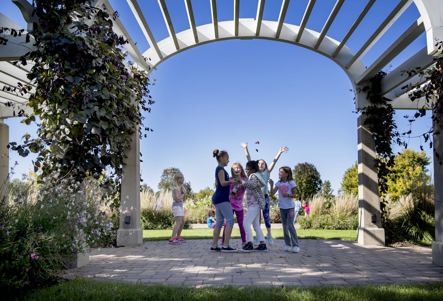 A group of school children on a field trip played that they were having a wedding in the pergola in the Longfellow Gardens on the land bridge over Hiawatha Avenue at Minnehaha Parkway on Wednesday, October 5, 2016, in Minneapolis, Minn. One little girl threw flower petals in their air during the pretend wedding. ] RENEE JONES SCHNEIDER &#x2022; renee.jones@startribune.com