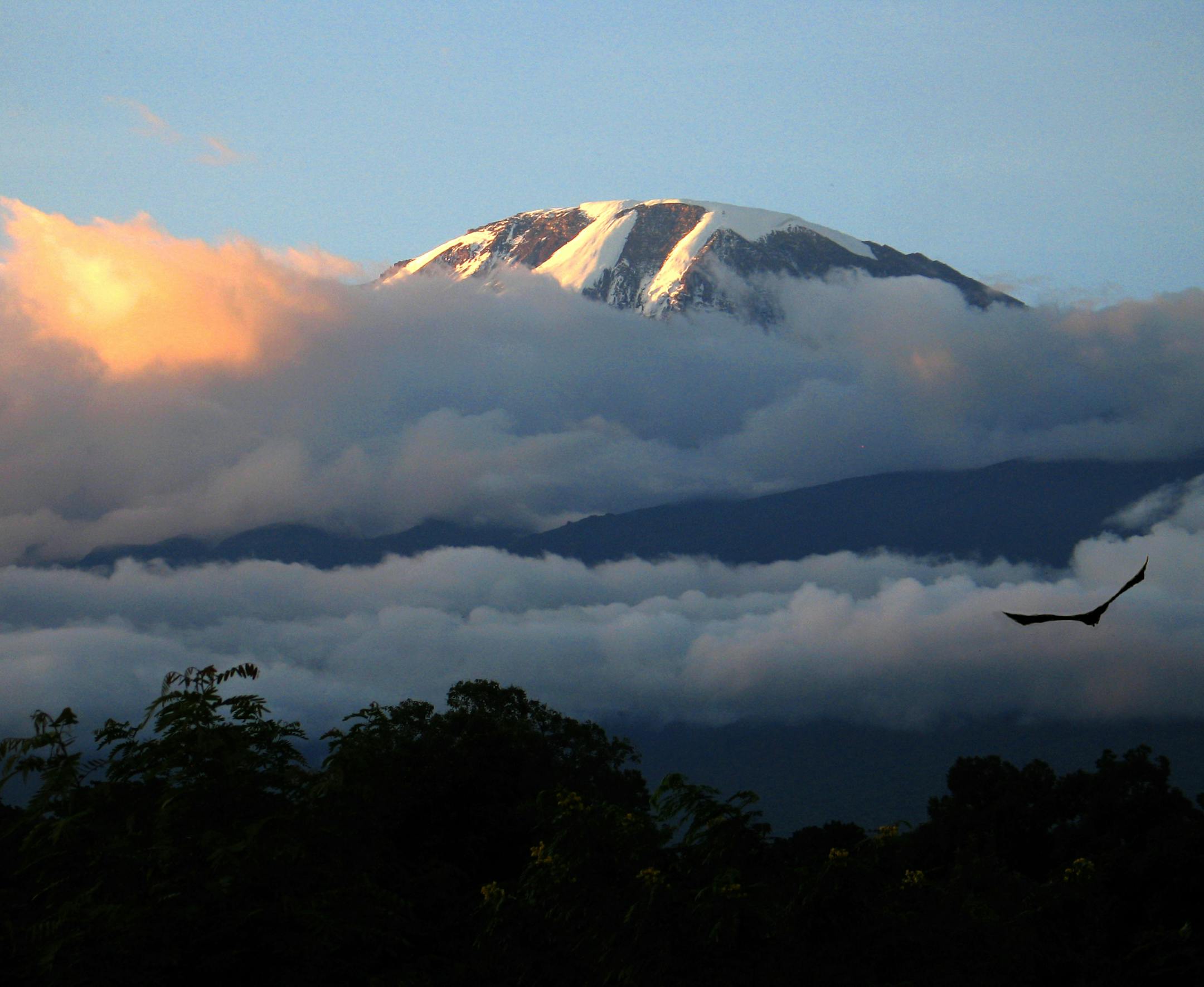 Dick Anderson and I live in St. Paul.
This is in response to your email of March 2 regarding my photo of Mt. Kilimanjaro. I took the photo from the campus of Mwenge University where I lived and worked as a Peace Corps volunteer. The school is located on the slopes of Mt. Kilimanjaro. It was taken in the evening just as the sun was setting. I took a number of different shots to get the exposure I wanted and when I liked the results I waited until the bird flew into the shot. I am not a bird watch