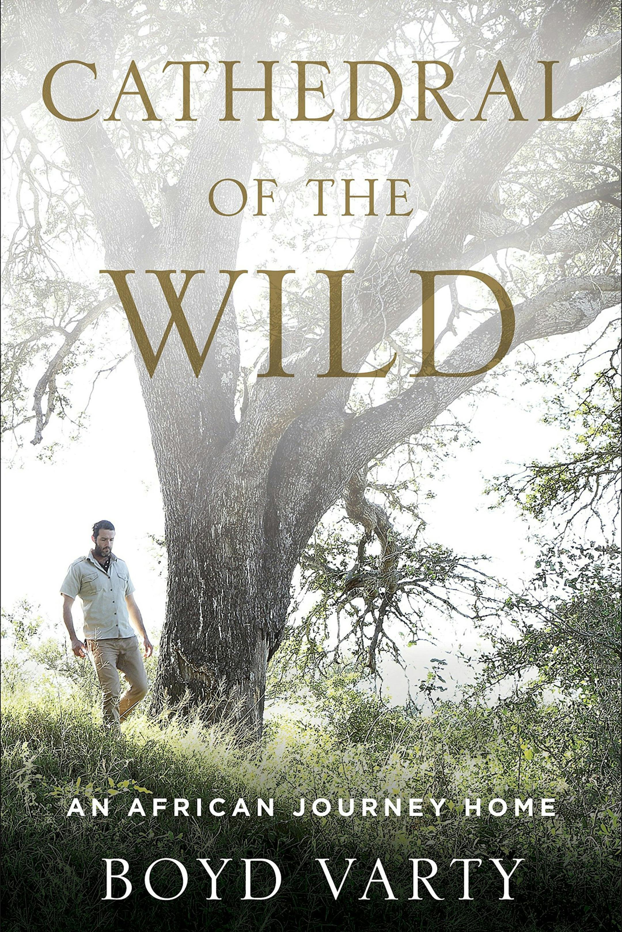 "Cathedral of the Wild" by Boyd Varty
