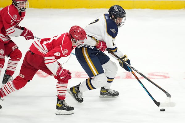 Brady Bork Hermantown defenseman Henry Peterson (2) and Luverne forward Brady Bork (8) fight for the puck in the second period of a MSHSL Class 1A qua
