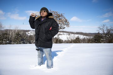 Luis Hummel posed for a portrait holding a dead hemp plant on his Lanesboro farm on Tuesday, Feb. 11, 2020. A CBD concentrate produced from hemp grown