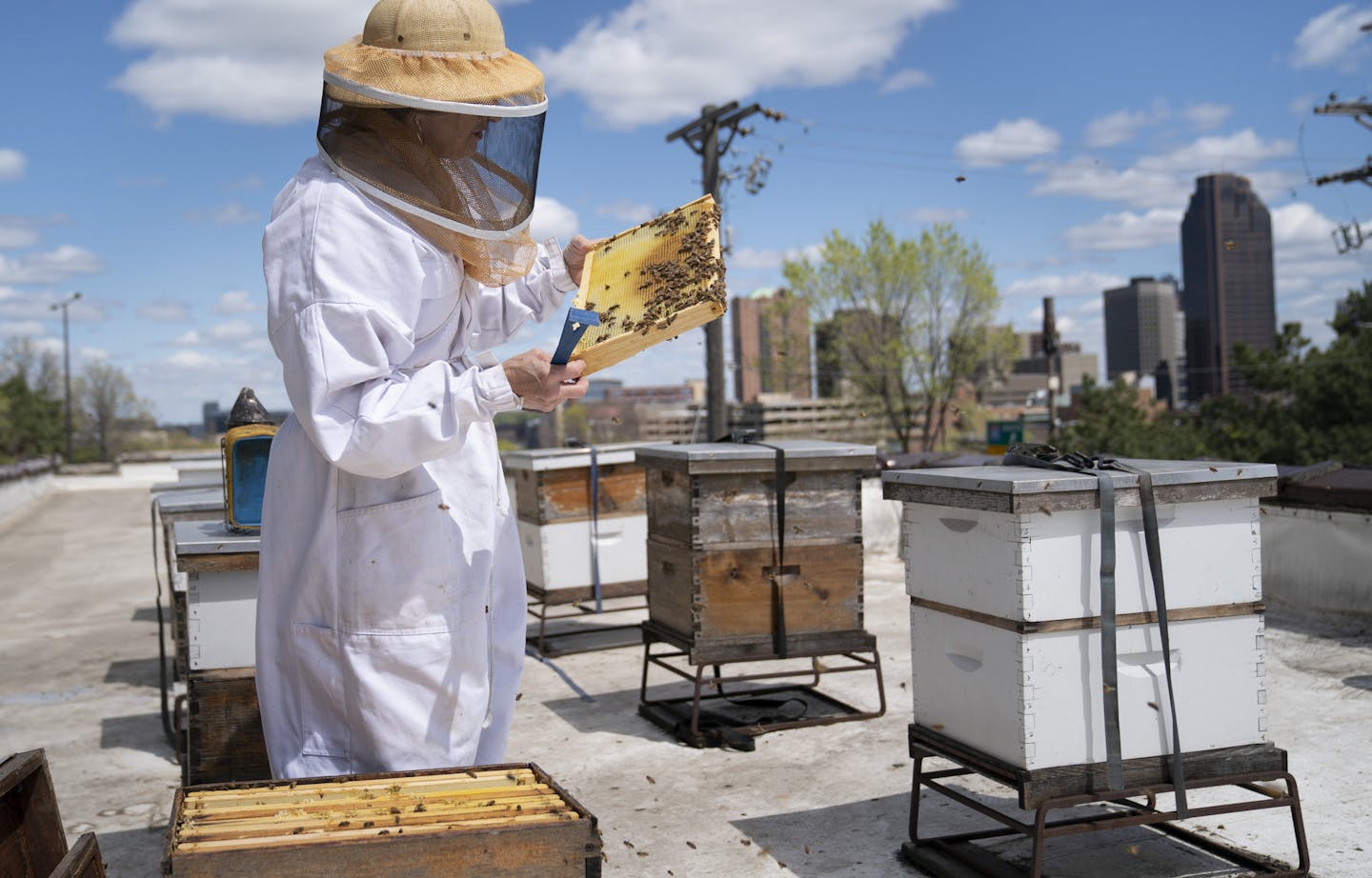 Beekeepers are tapping into Minnesota's unique flavors and the honey is ...