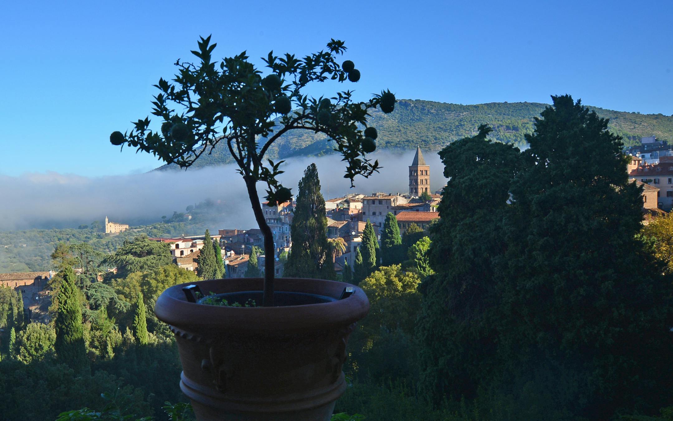 The Villa d'Este is a villa in Tivoli, near Rome, Italy. Listed as a UNESCO world heritage site, it features Renaissance architecture and Italian Renaissance gardens. The villa epitomizes the height of Renaissance culture and the gardens have influenced garden design world wide. There are hundreds of fountains and pools. Inside the villa there are also hundreds of frescoes which are painted from floor to ceiling. ] Richard.Sennott@startribune.com Richard Sennott/Star Tribune Tivoli Italy Tuesday