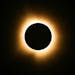The moon passes in front of the sun for a total solar eclipse April 8, visible from Farmington, Mo.