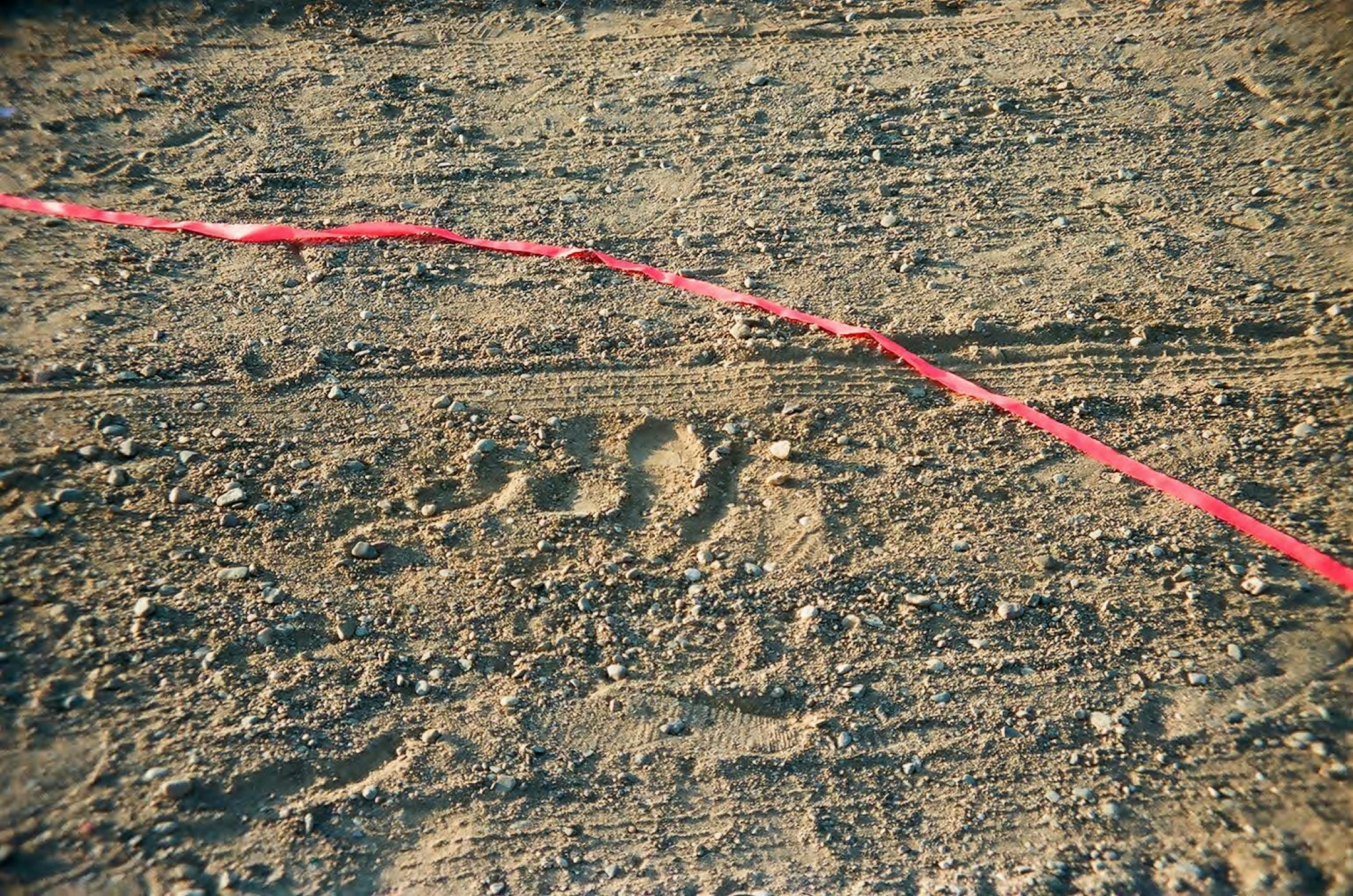 COURTESY STEARNS COUNTY. Footprints and tire marks from the scene of where Jacob Wetterling was abducted in October of 1989.